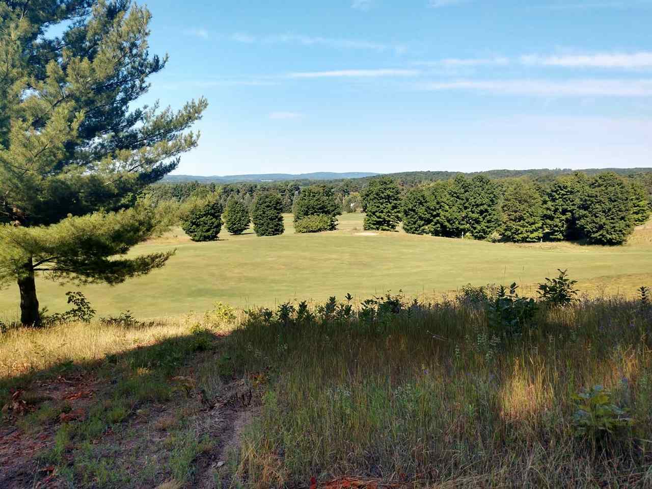 008 Heather Ridge Trail Homestead Township MI 49617