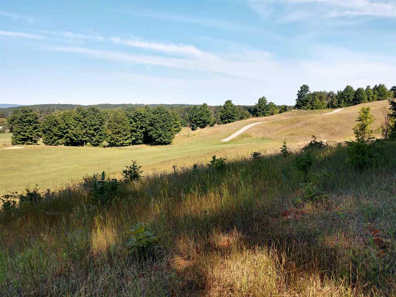 008 Heather Ridge Trail Homestead Township MI 49617