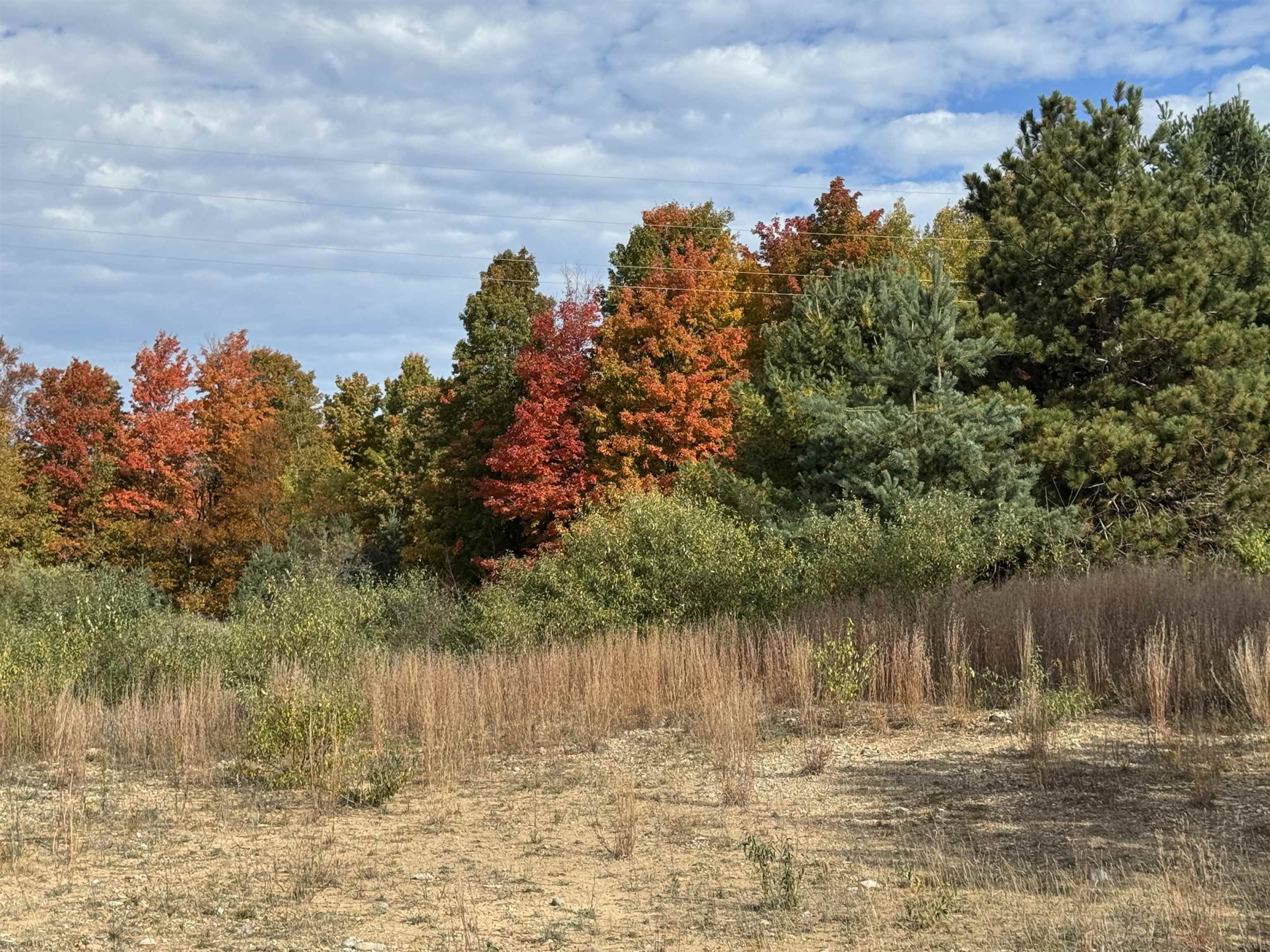 4.2 Acres January Drive Garfield Charter Township MI 49684