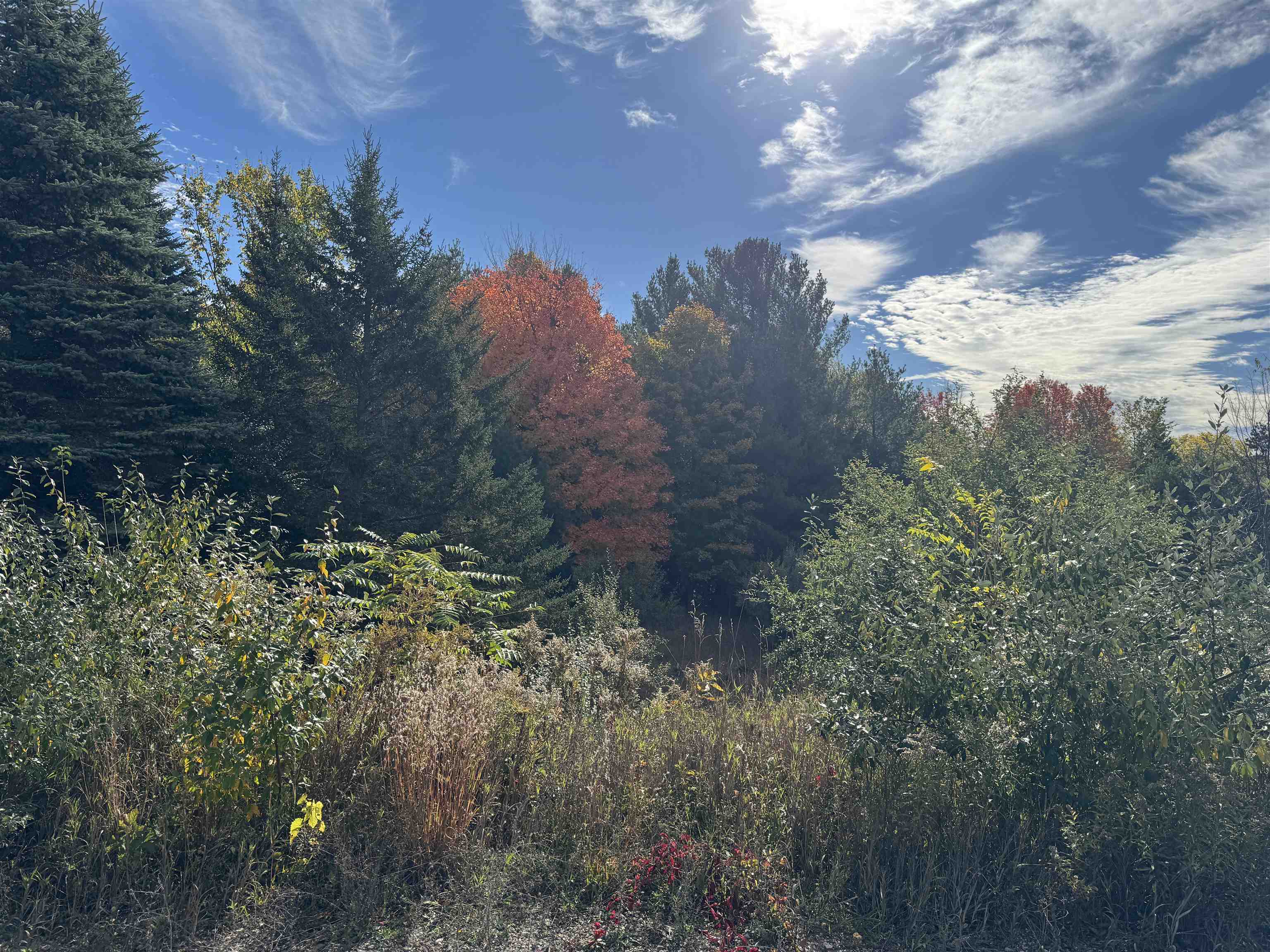 4.2 Acres January Drive Garfield Charter Township MI 49684