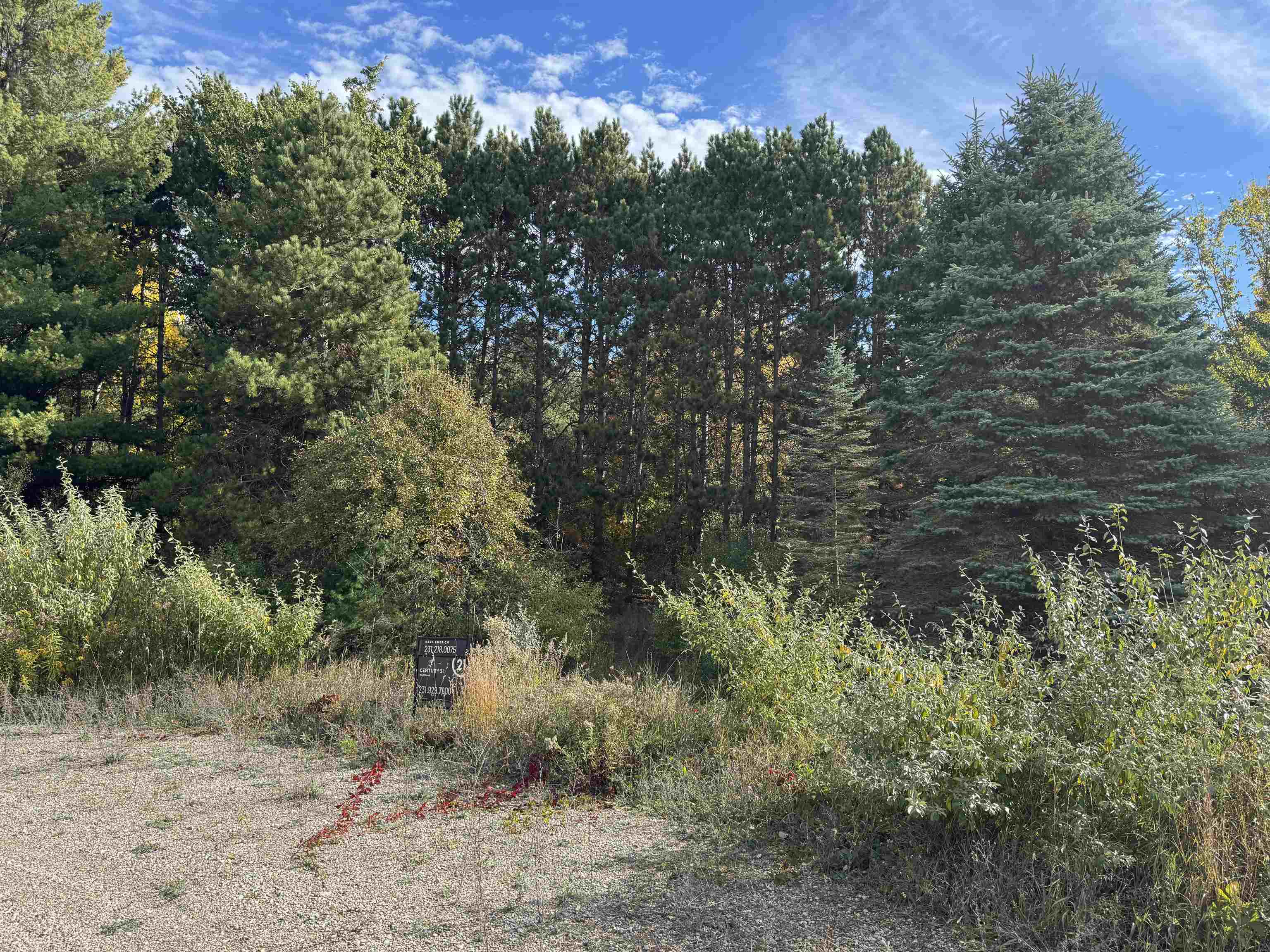 4.2 Acres January Drive Garfield Charter Township MI 49684
