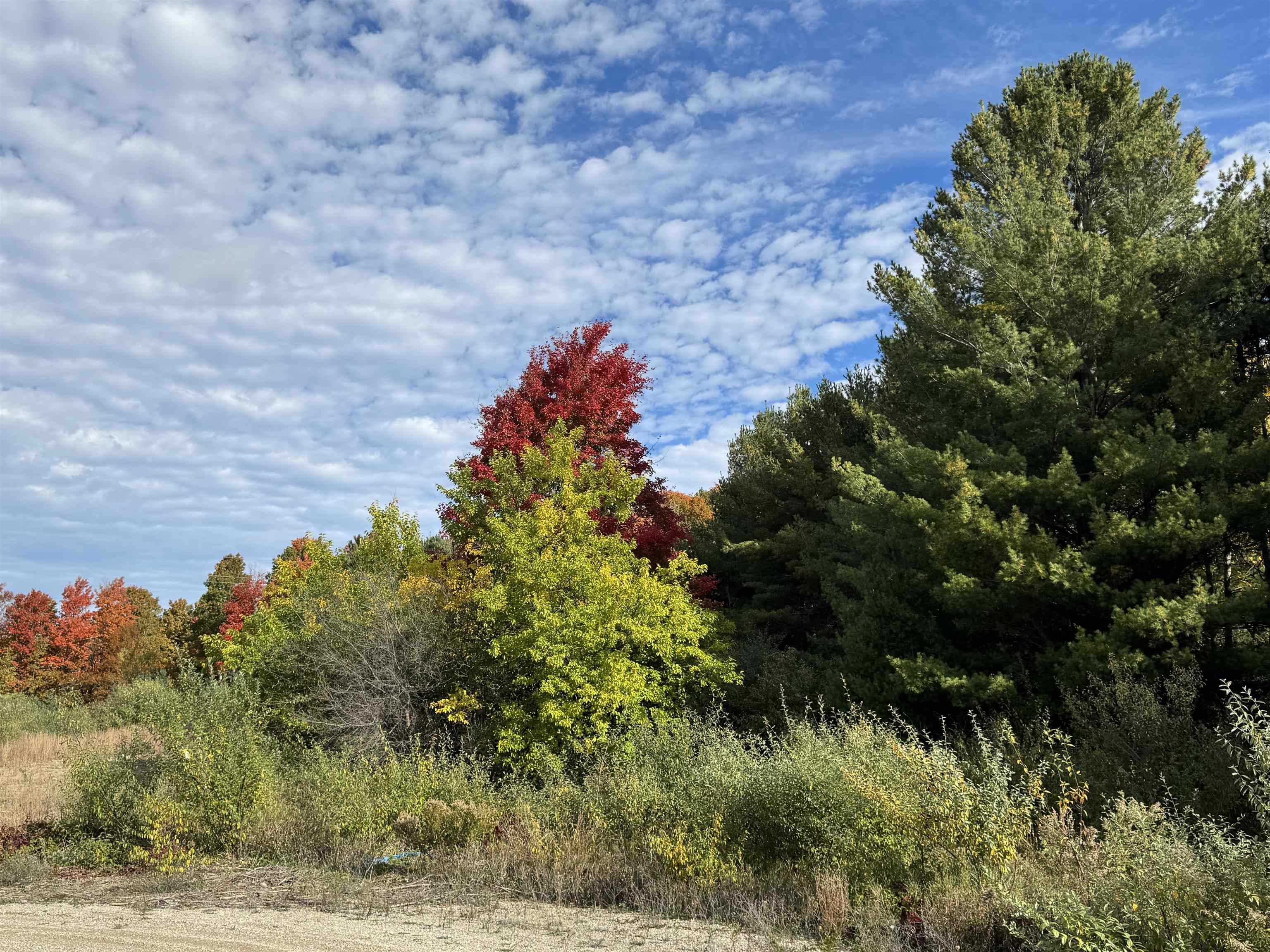 4.2 Acres January Drive Garfield Charter Township MI 49684