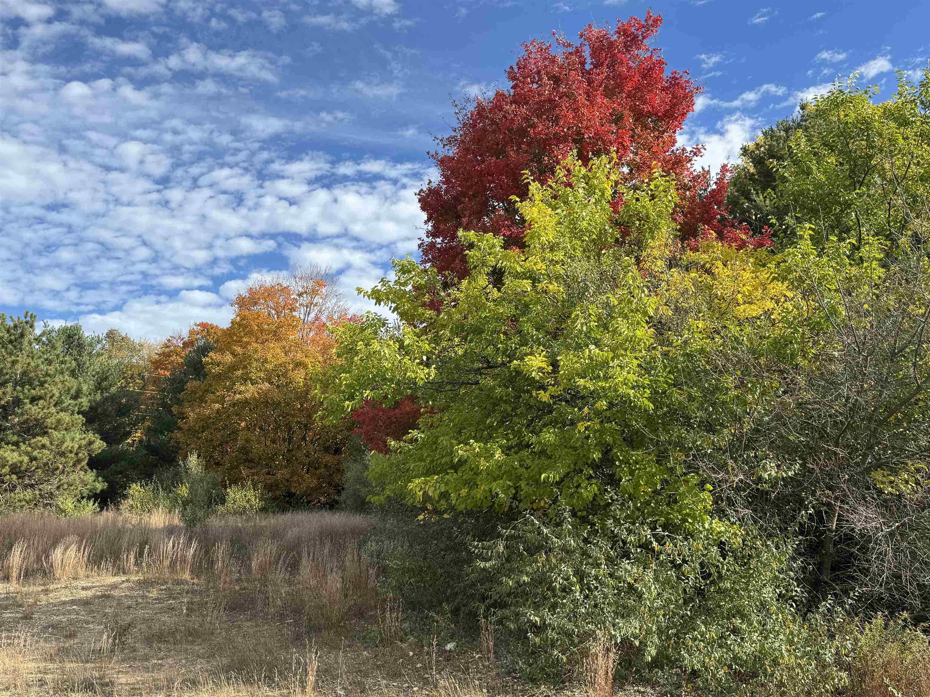 4.2 Acres January Drive Garfield Charter Township MI 49684