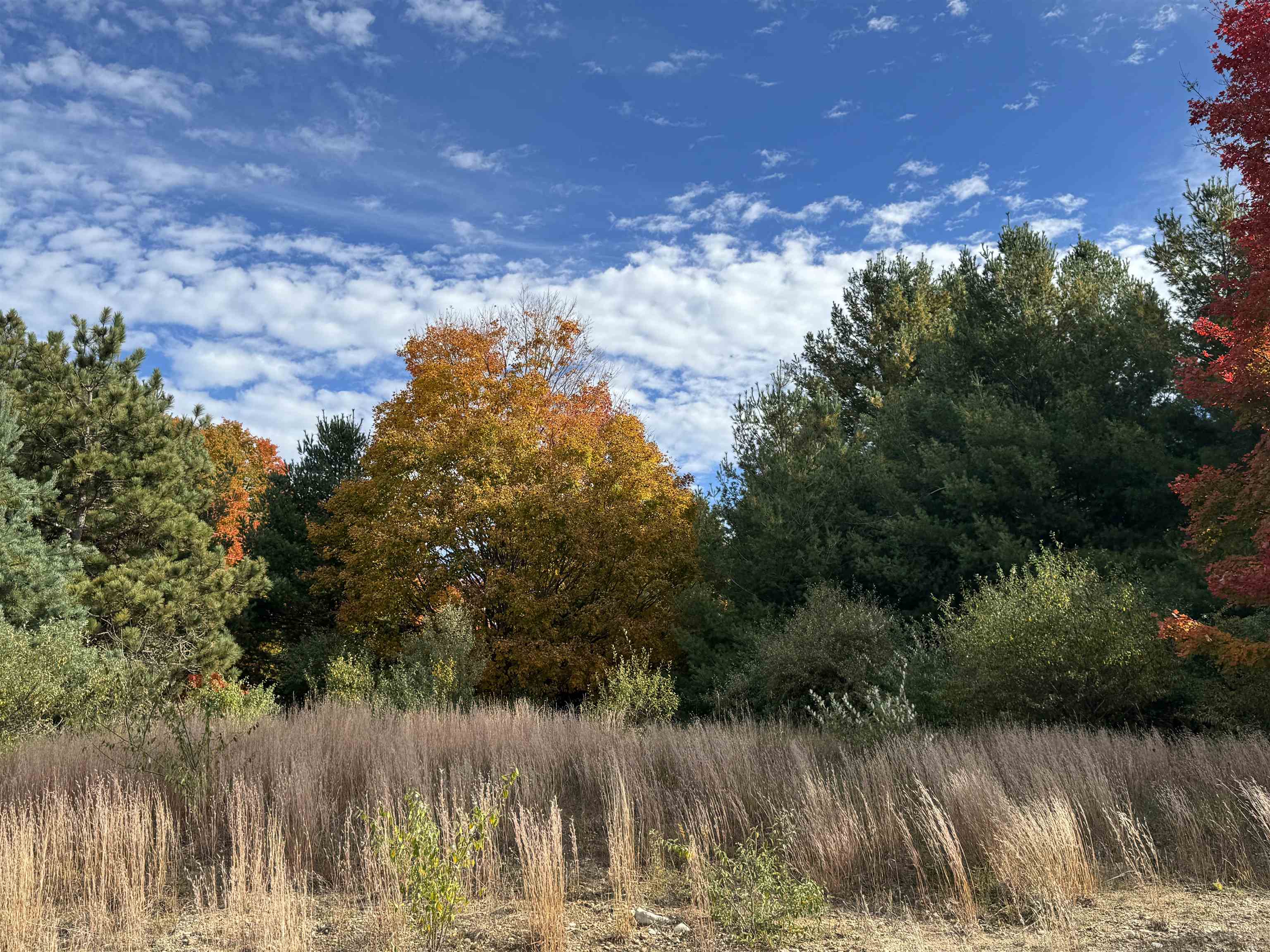 4.2 Acres January Drive Garfield Charter Township MI 49684