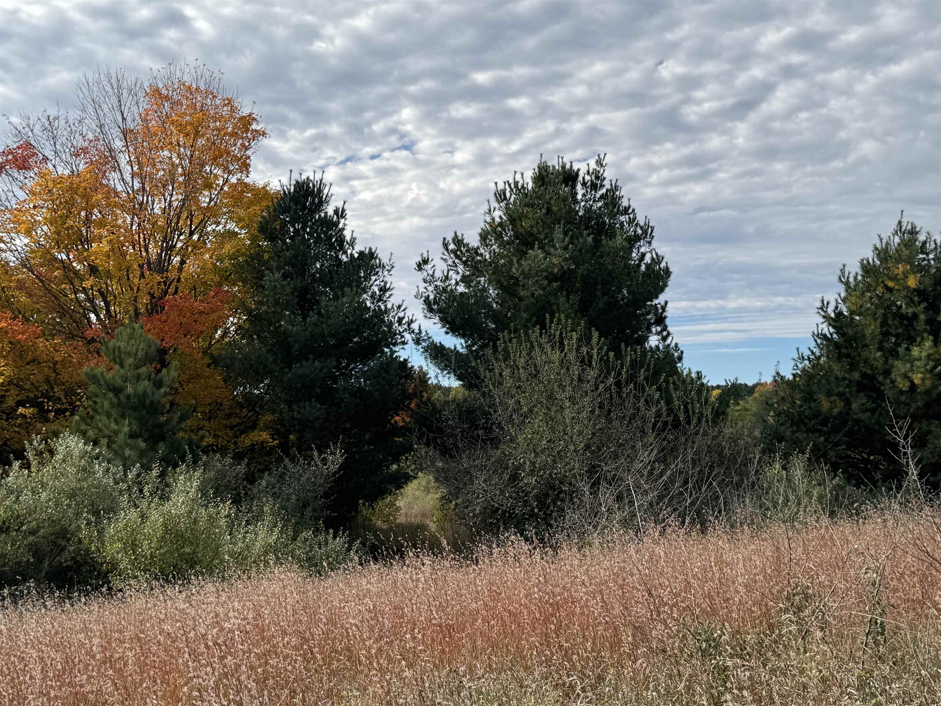 4.2 Acres January Drive Garfield Charter Township MI 49684