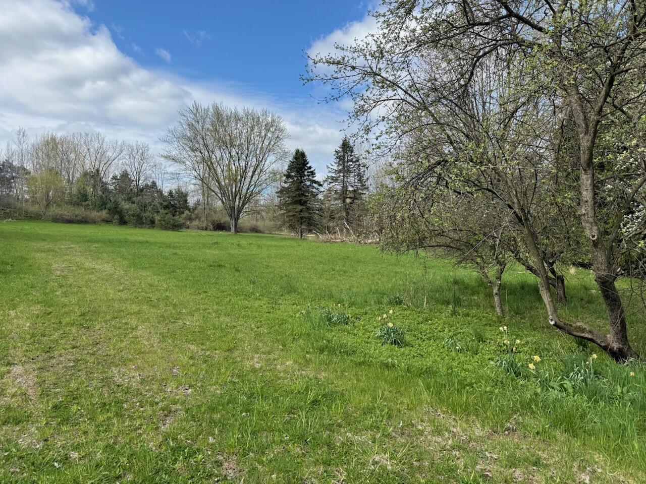 14605 Apple Avenue Casnovia Township MI 49318
