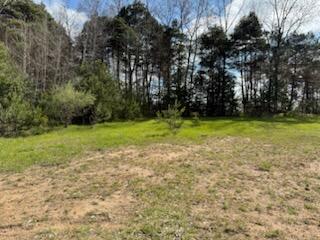 14605 Apple Avenue Casnovia Township MI 49318
