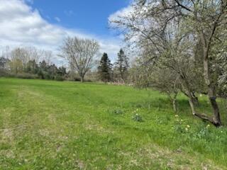 14605 Apple Avenue Casnovia Township MI 49318