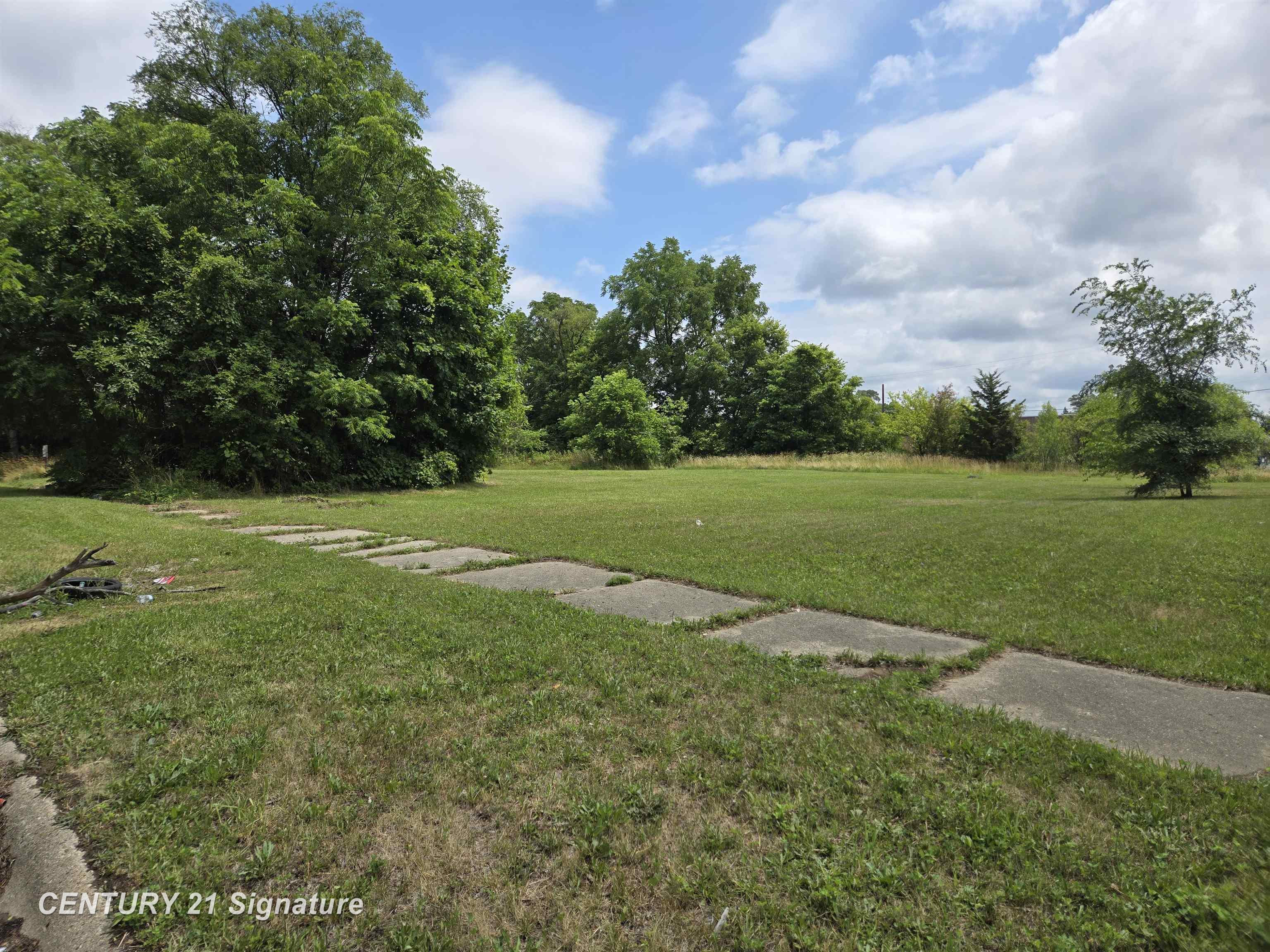 Donaldson Street Flint City MI 48504