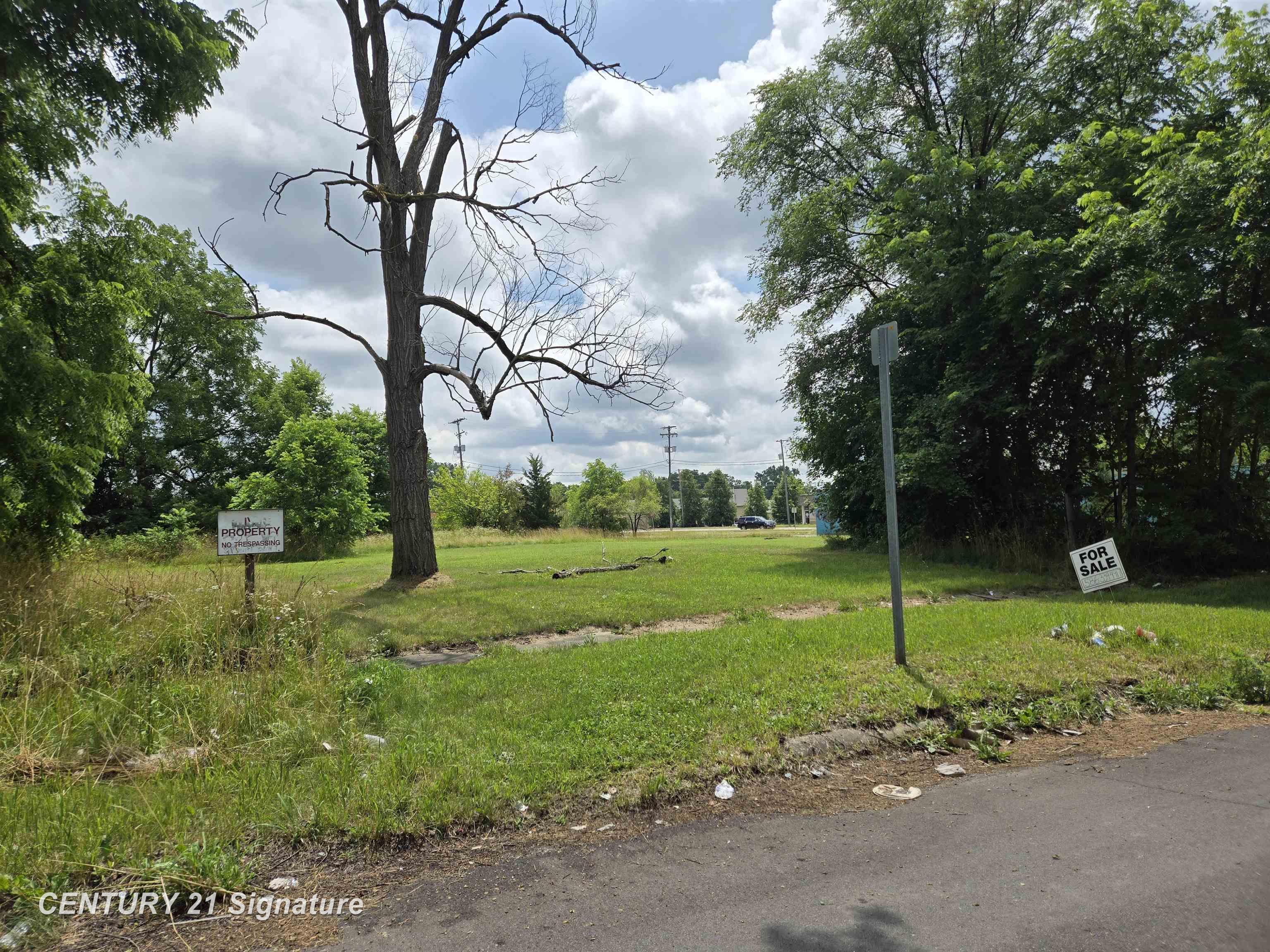Donaldson Street Flint City MI 48504