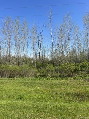 VL Turtle Lake Road North Branch Township MI 48461