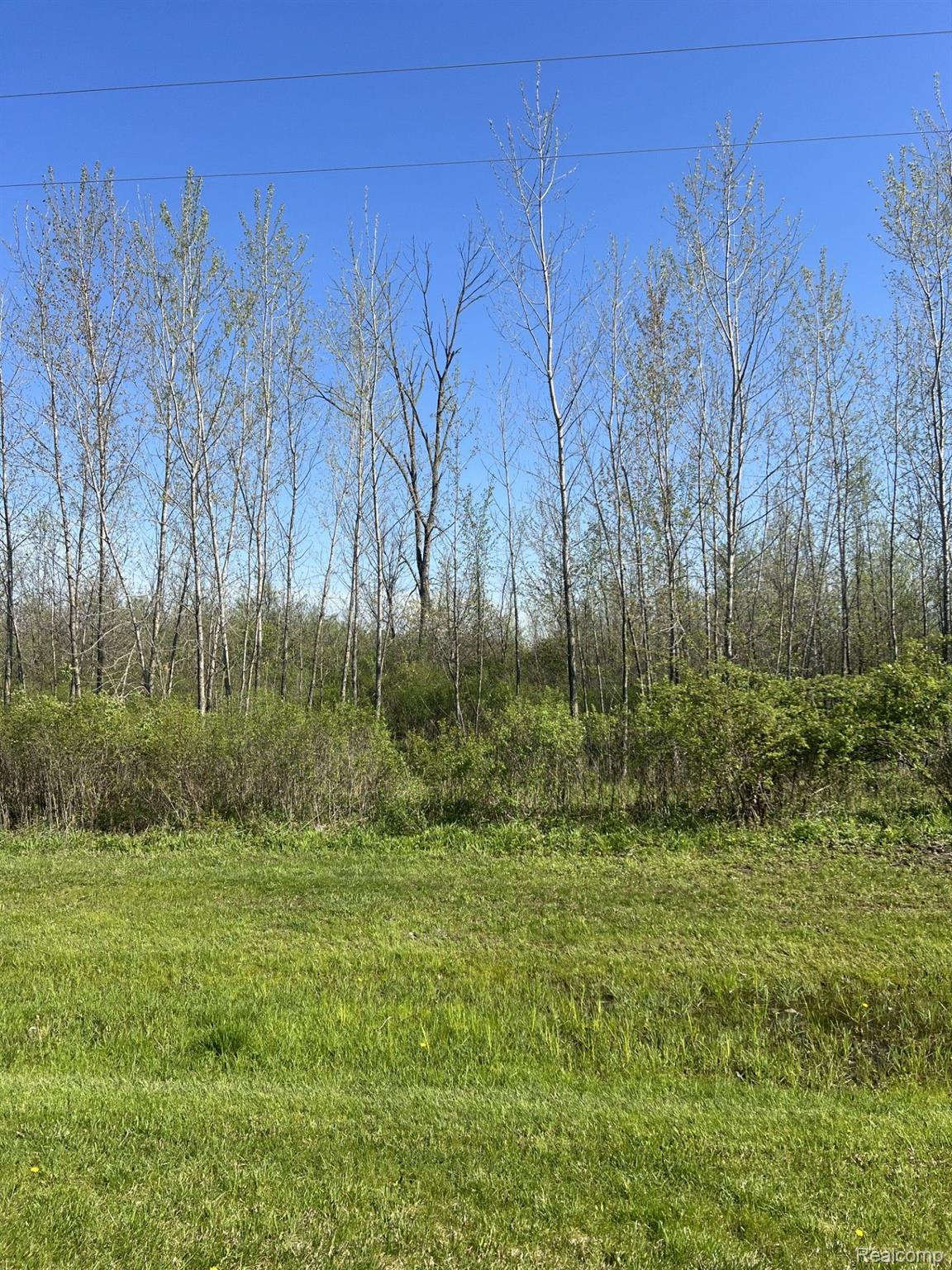 Ville Turtle Lake Road North Branch Township MI 48461