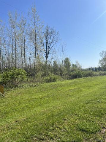 VL Turtle Lake Road North Branch Township MI 48461