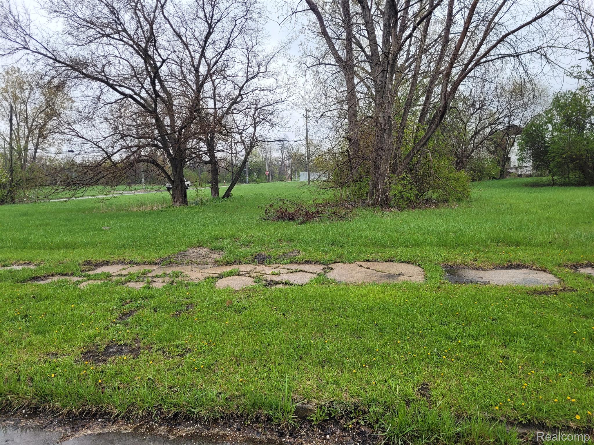 3094 17th Street Detroit City MI 48216