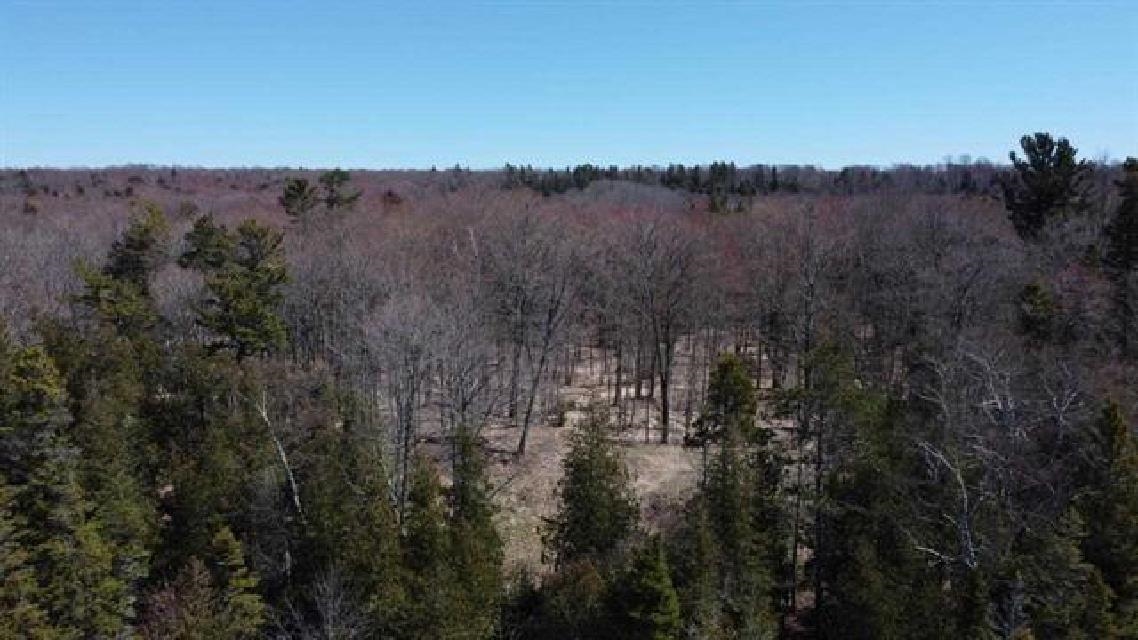 Lot 4 Greene Drive Peaine Township MI 49782