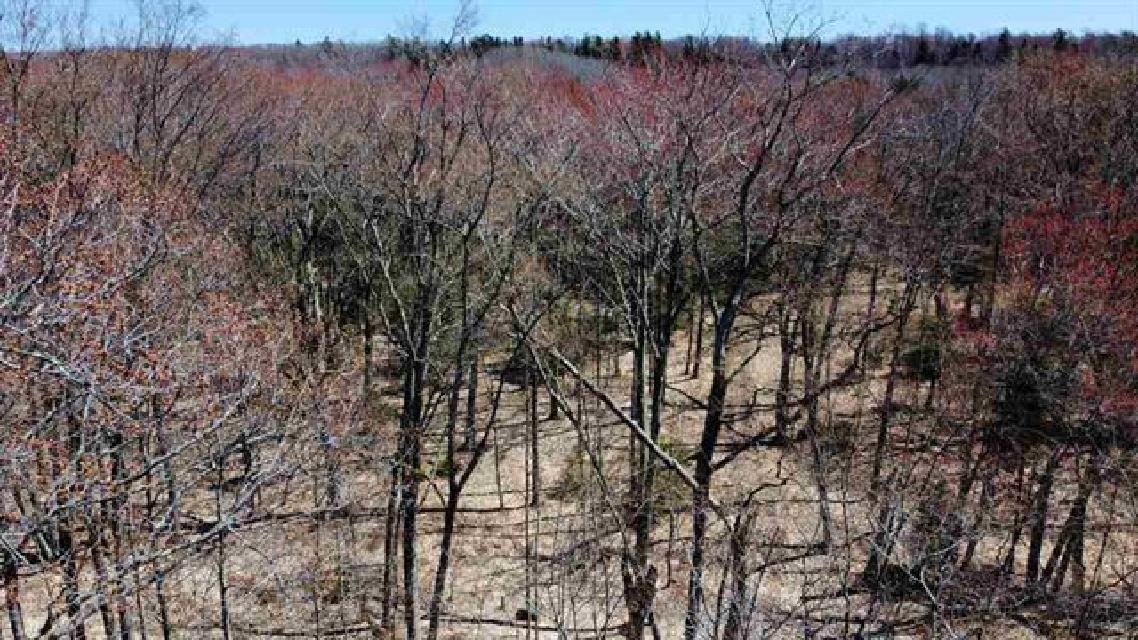 Lot 4 Greene Drive Peaine Township MI 49782