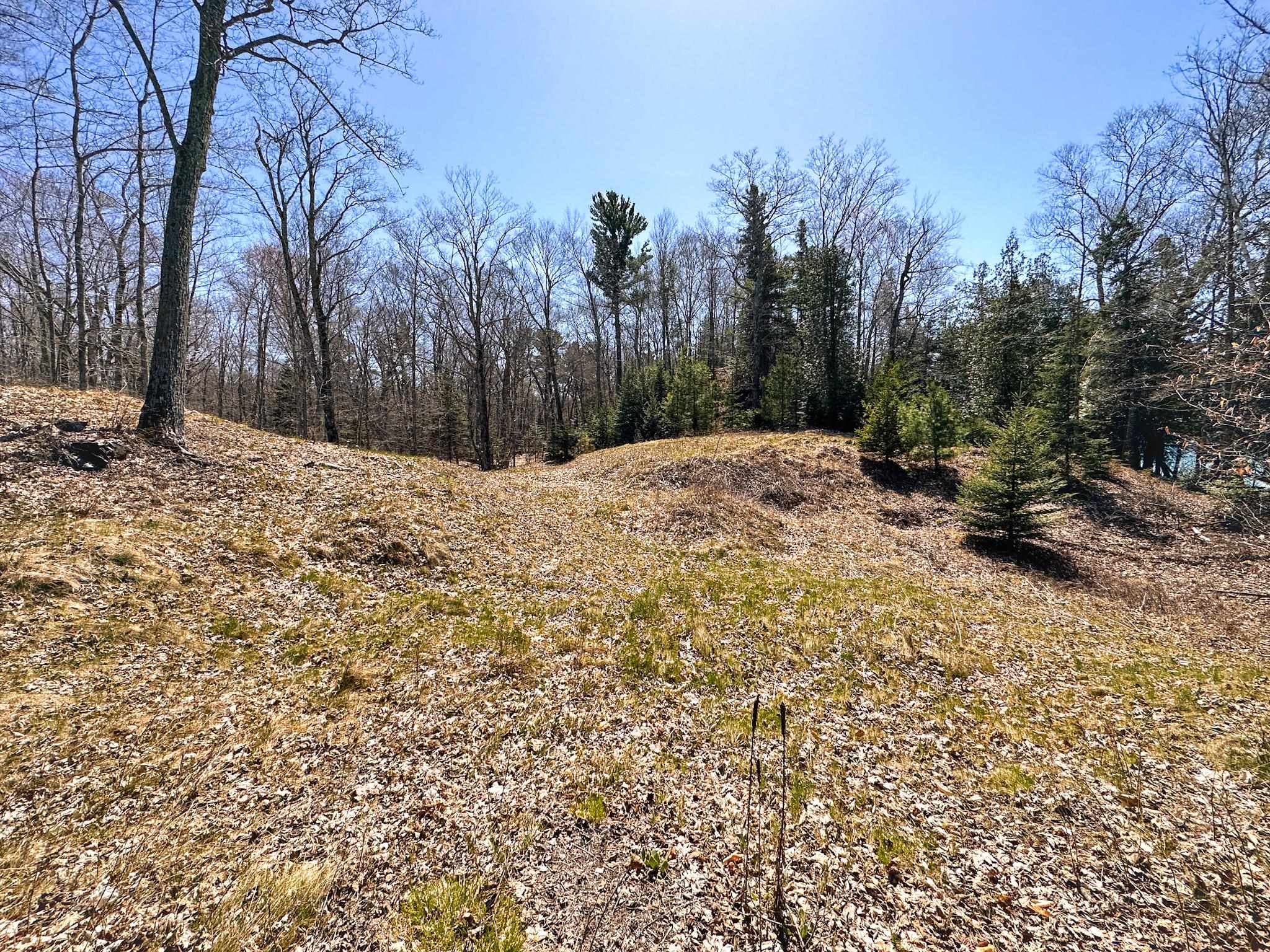 Lot 4 Greene Drive Peaine Township MI 49782