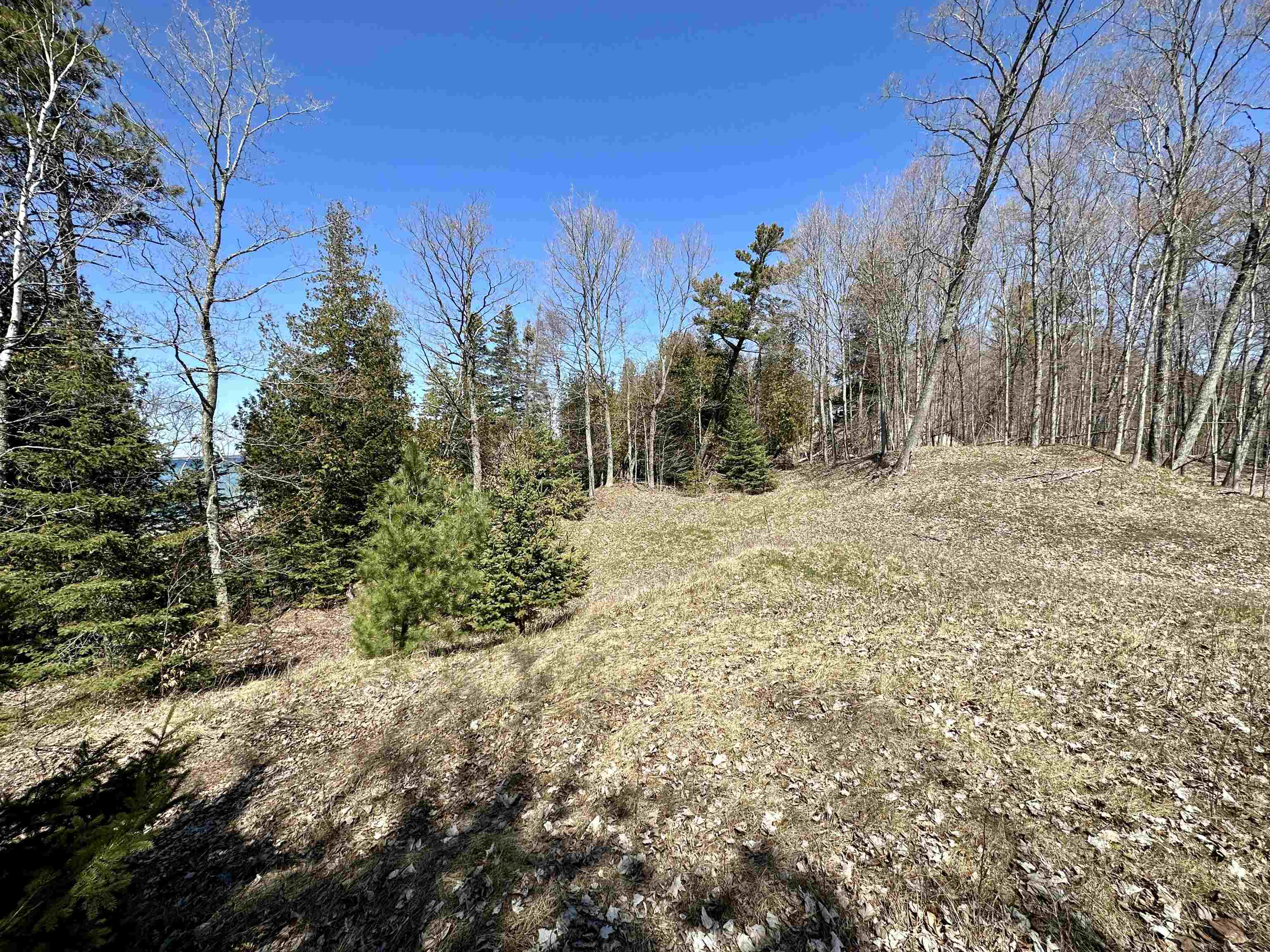 Lot 4 Greene Drive Peaine Township MI 49782