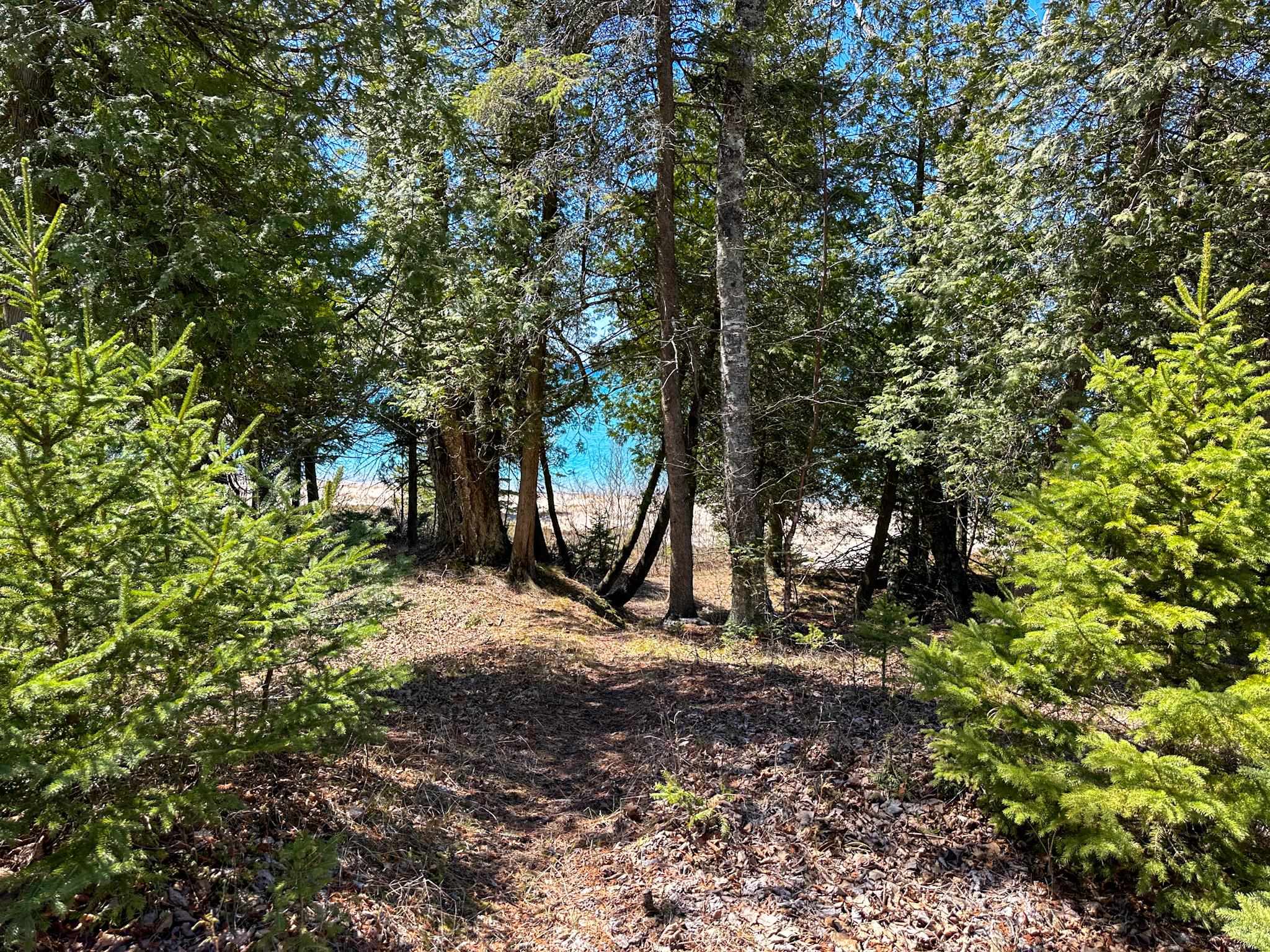 Lot 4 Greene Drive Peaine Township MI 49782