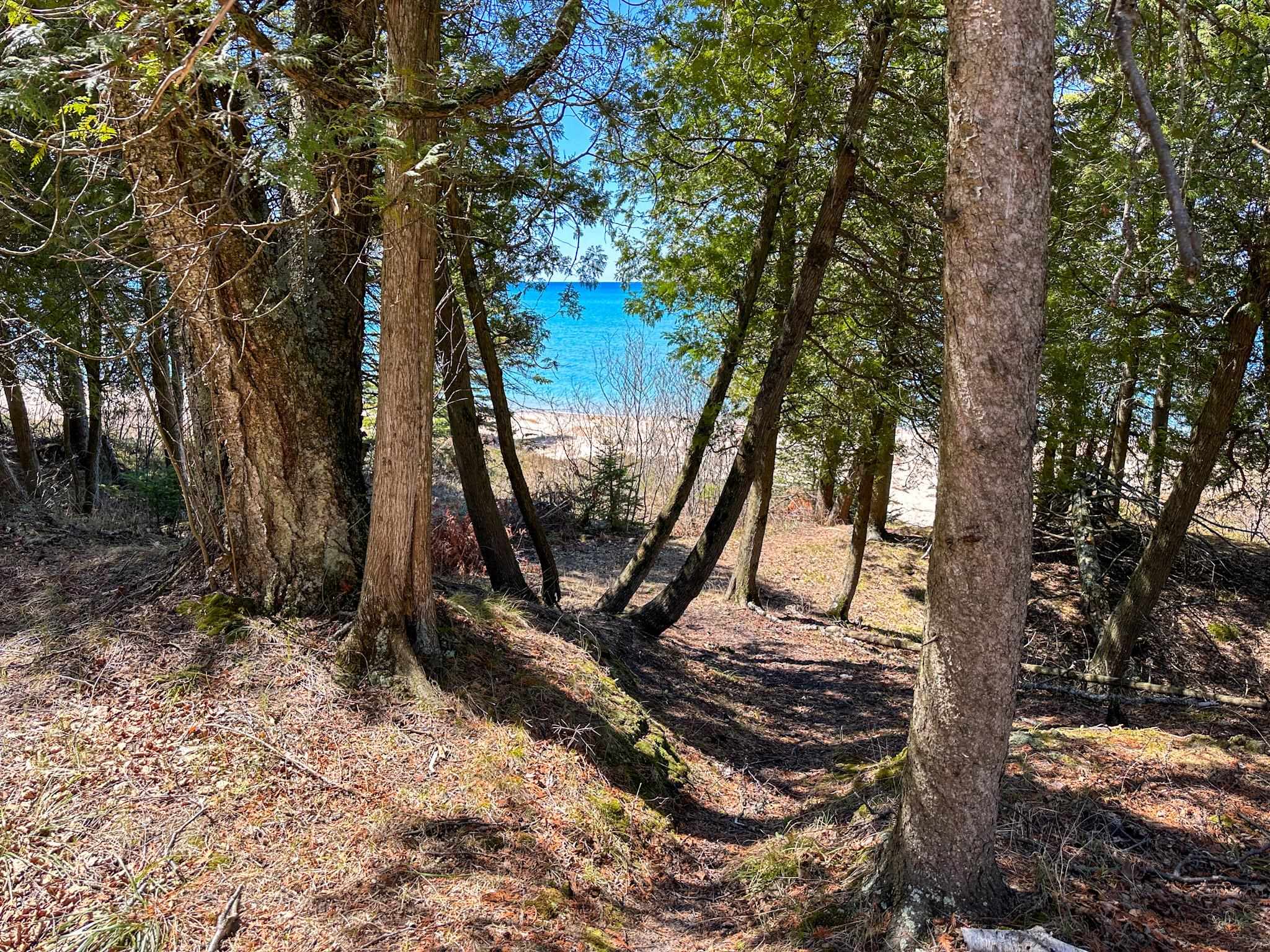 Lot 4 Greene Drive Peaine Township MI 49782