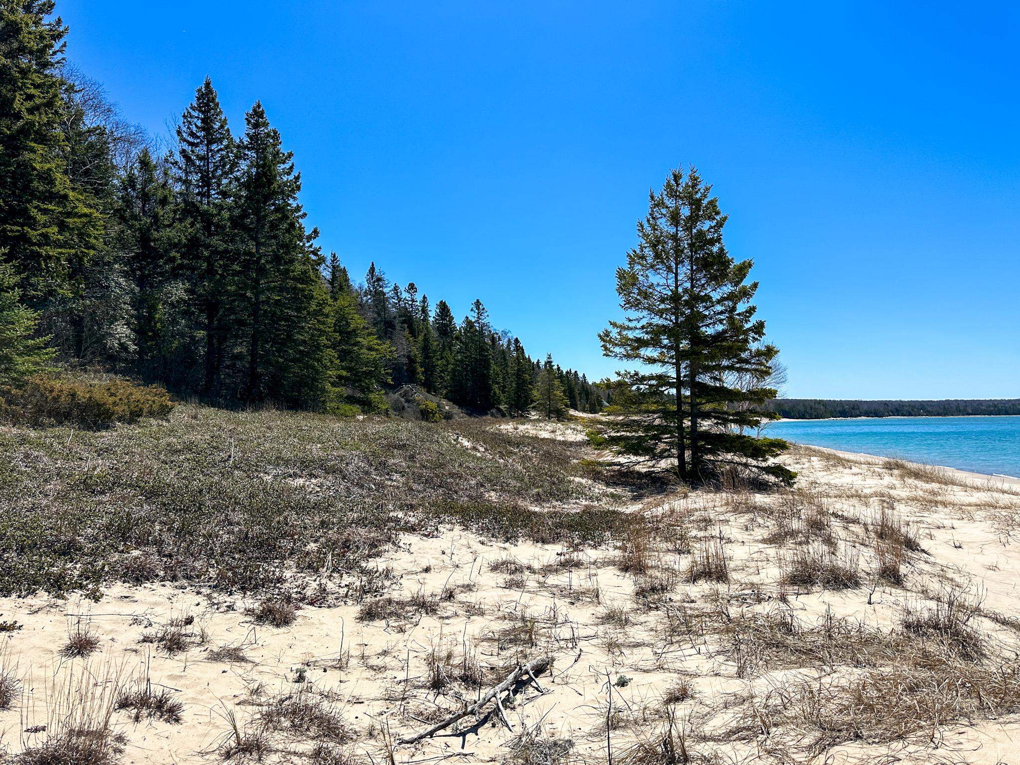 Lot 4 Greene Drive Peaine Township MI 49782