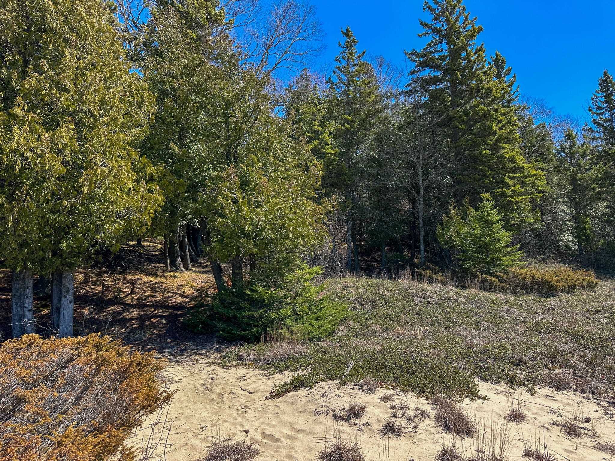 Lot 4 Greene Drive Peaine Township MI 49782