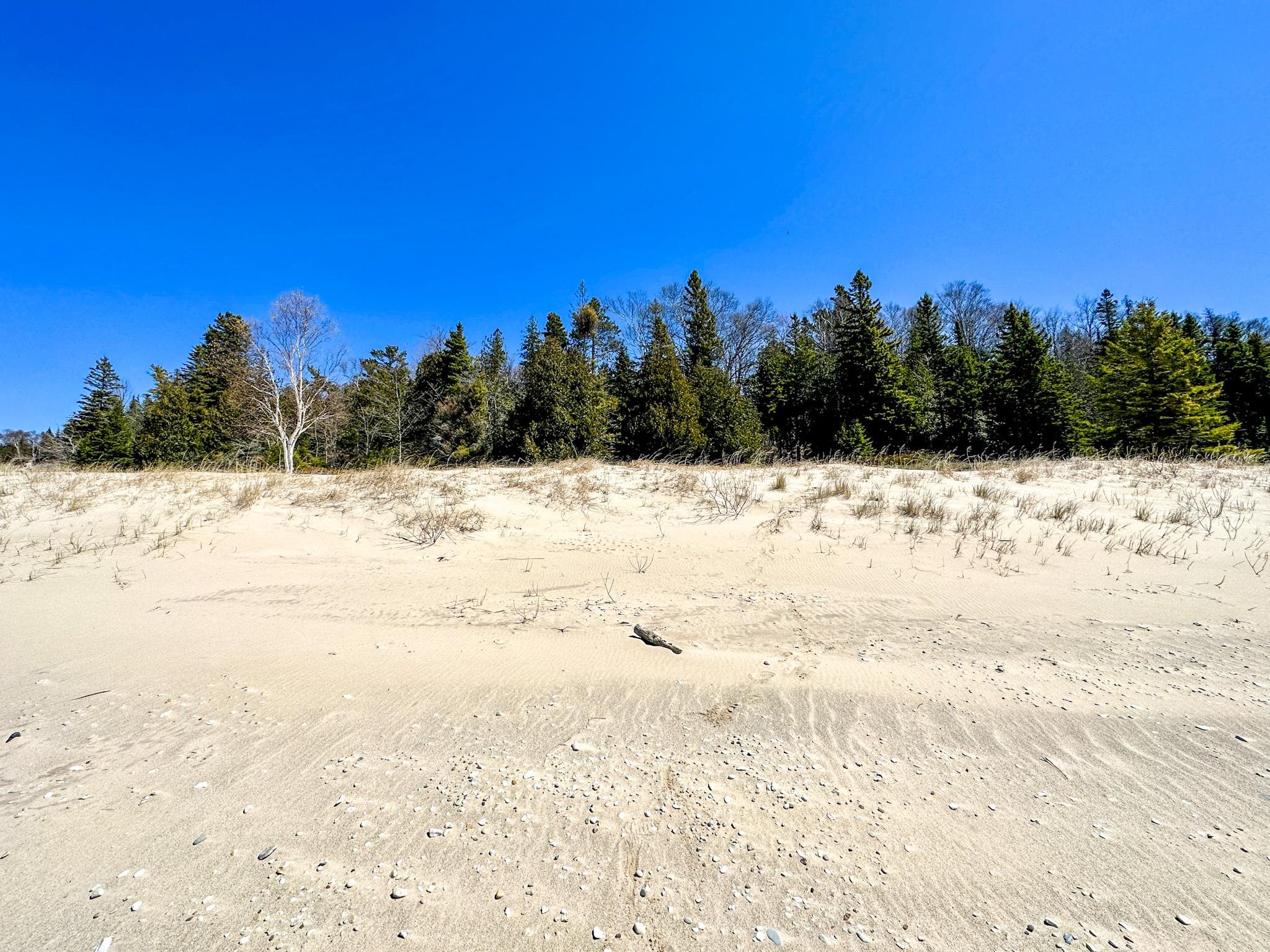 Lot 4 Greene Drive Peaine Township MI 49782