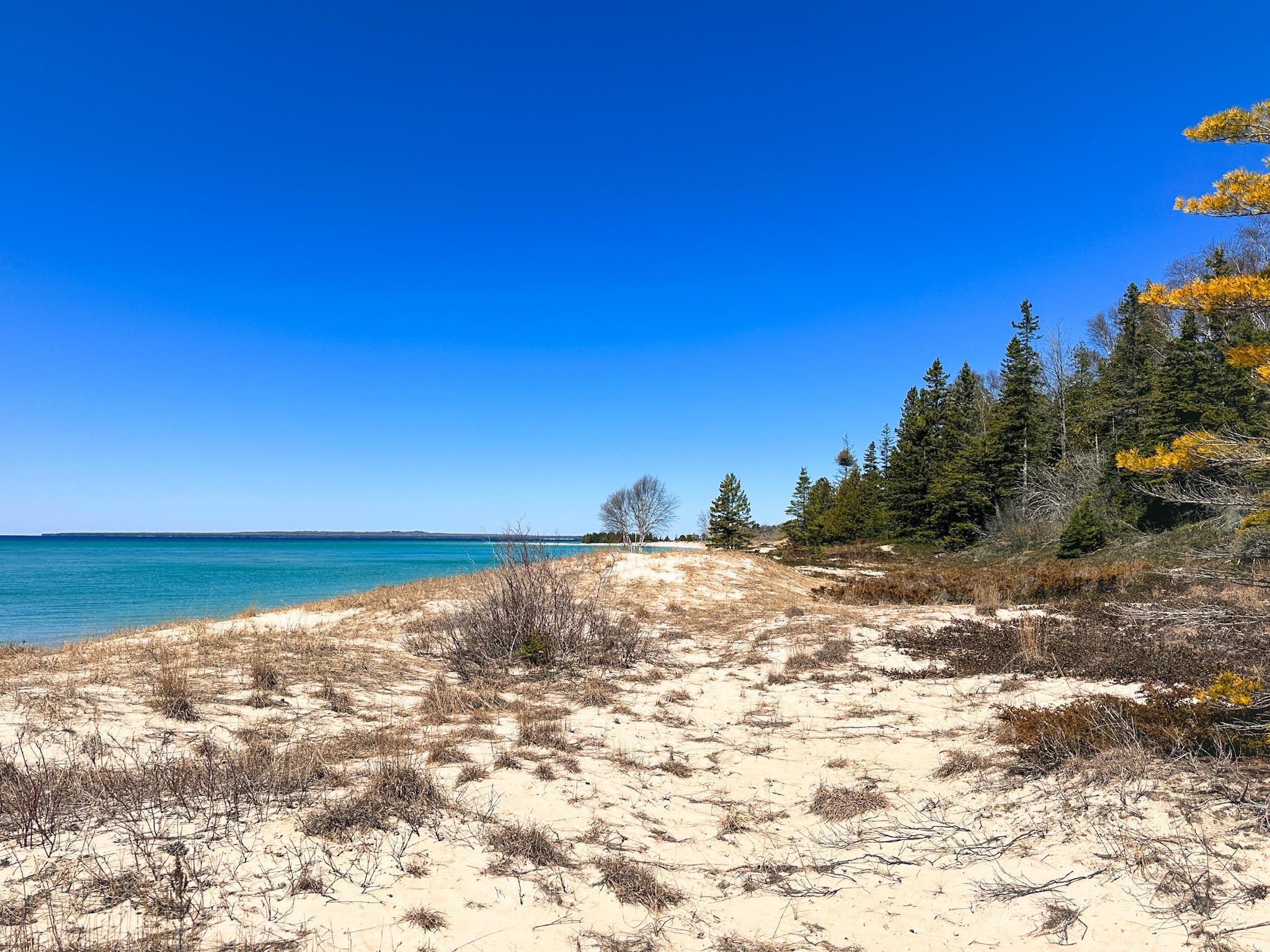 Lot 4 Greene Drive Peaine Township MI 49782