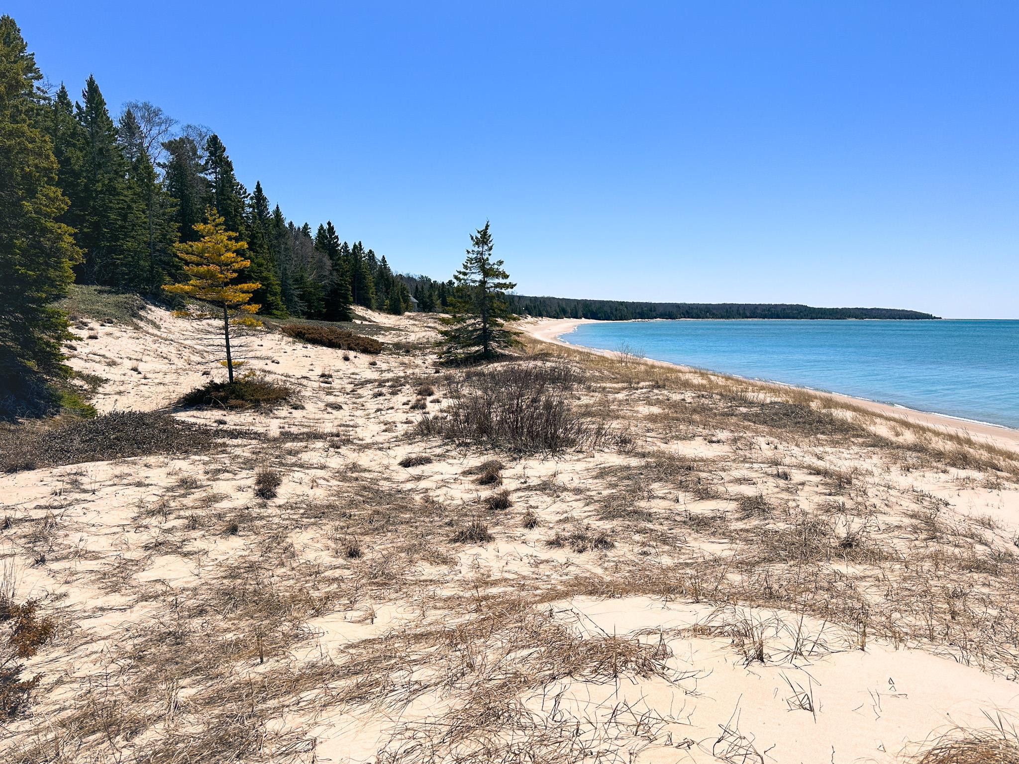 Lot 4 Greene Drive Peaine Township MI 49782