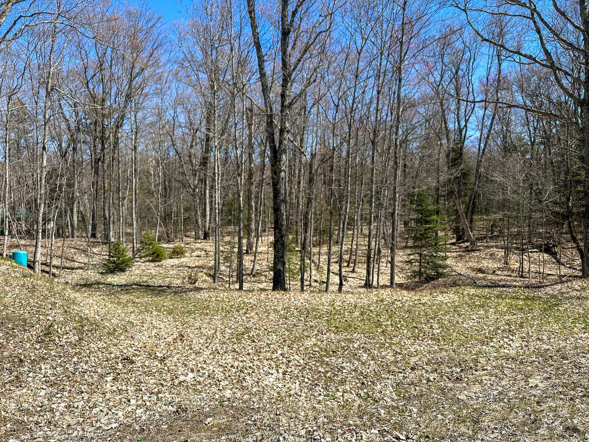 Lot 4 Greene Drive Peaine Township MI 49782