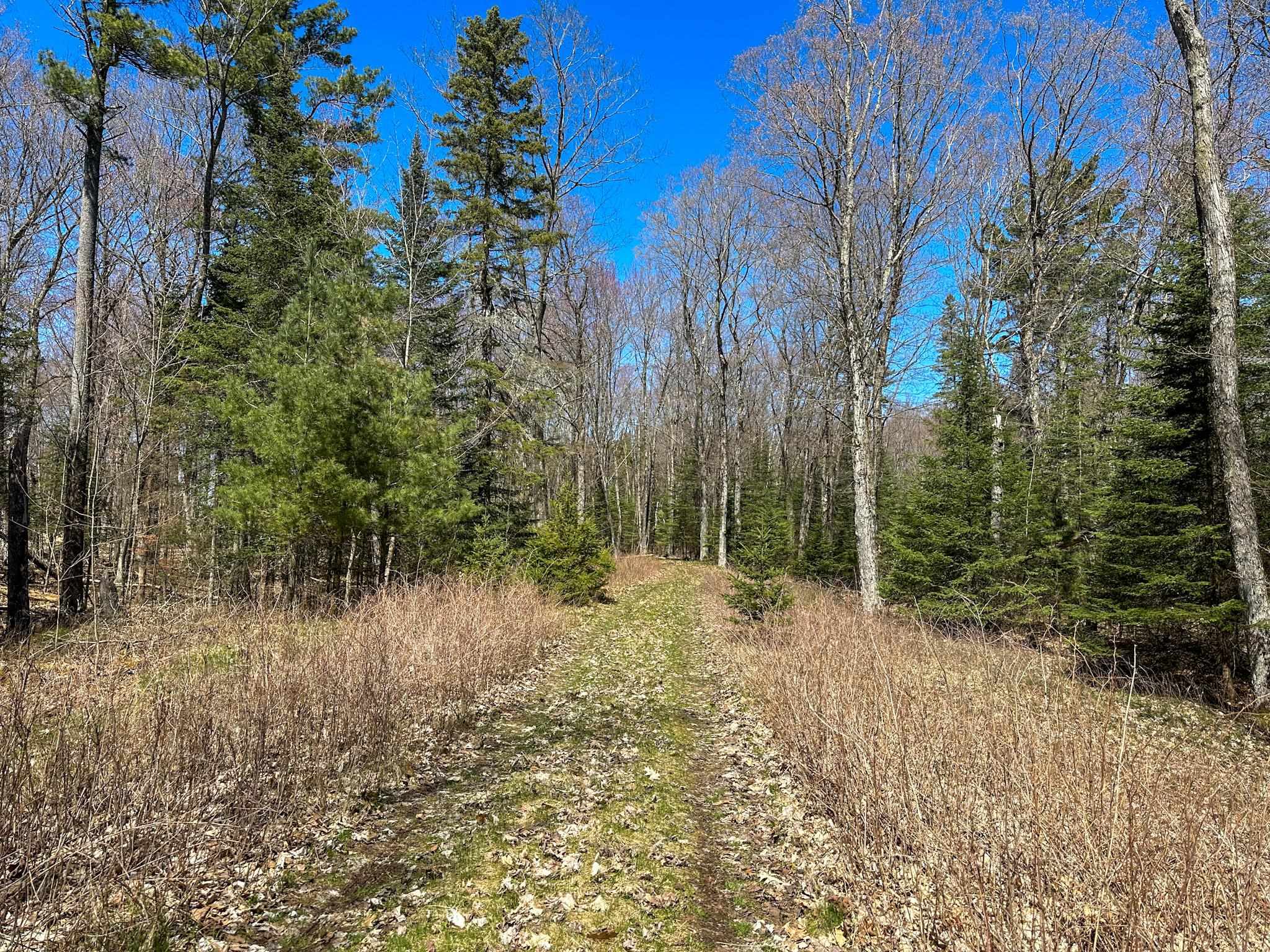 Lot 4 Greene Drive Peaine Township MI 49782