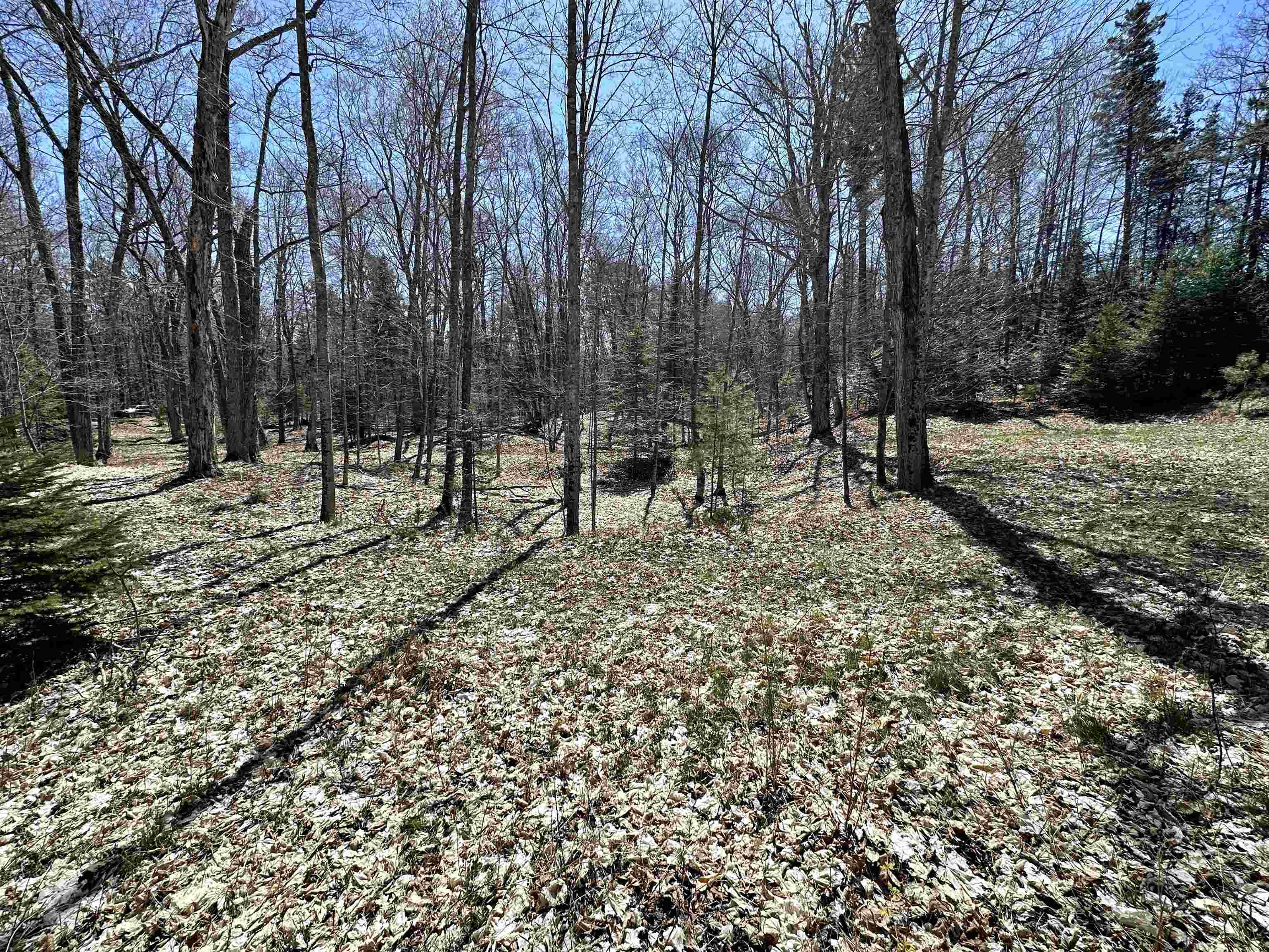 Lot 4 Greene Drive Peaine Township MI 49782