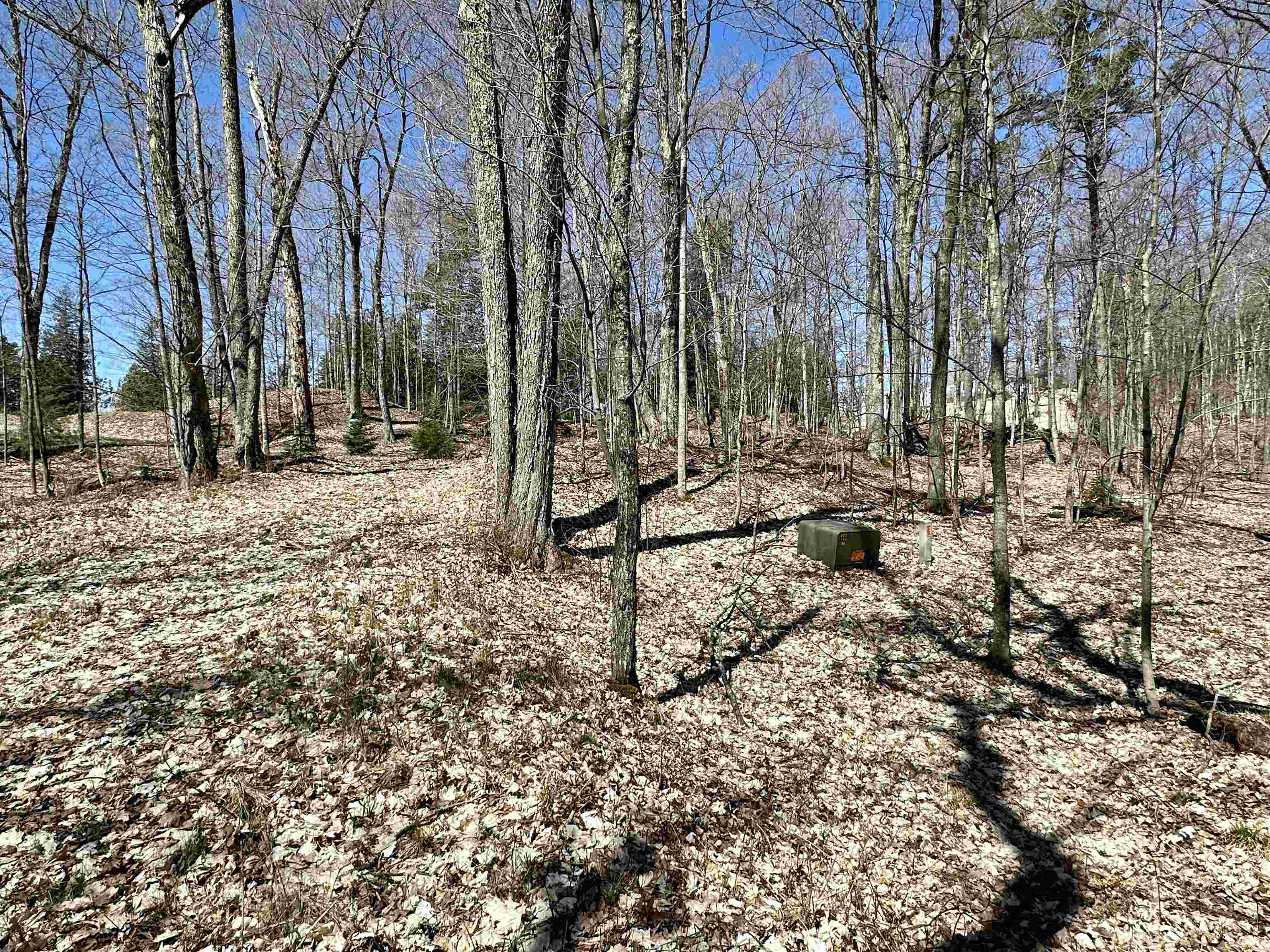 Lot 4 Greene Drive Peaine Township MI 49782