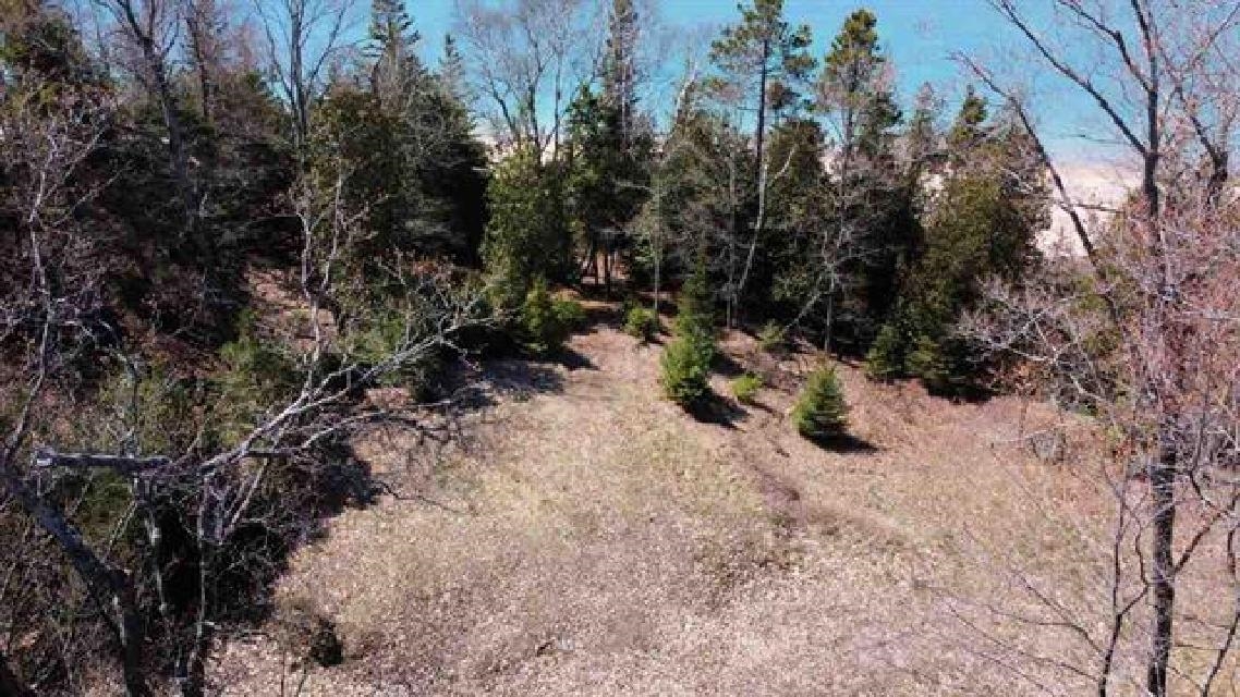 Lot 4 Greene Drive Peaine Township MI 49782