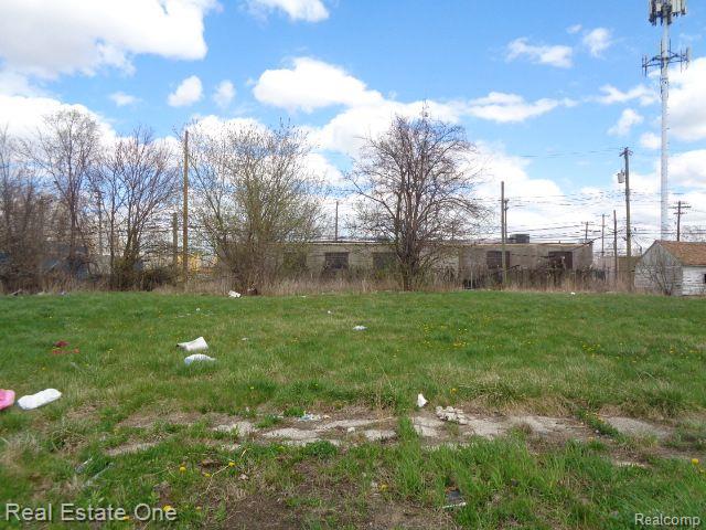 11670 Saint Louis Street Detroit City MI 48212