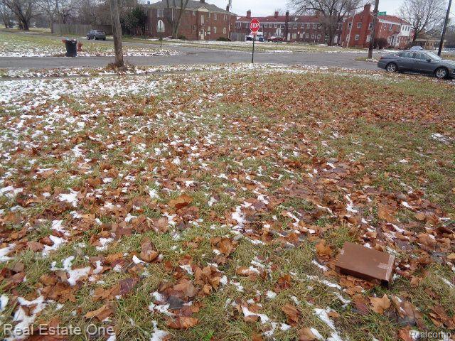 3200 W Boston Boulevard Detroit City MI 48206