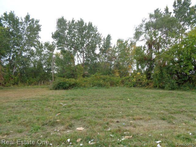 2628 Hunt Street Detroit City MI 48207