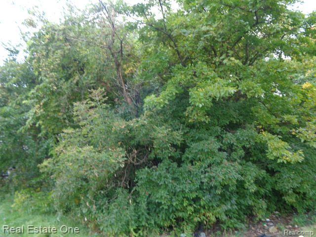 2628 Hunt Street Detroit City MI 48207