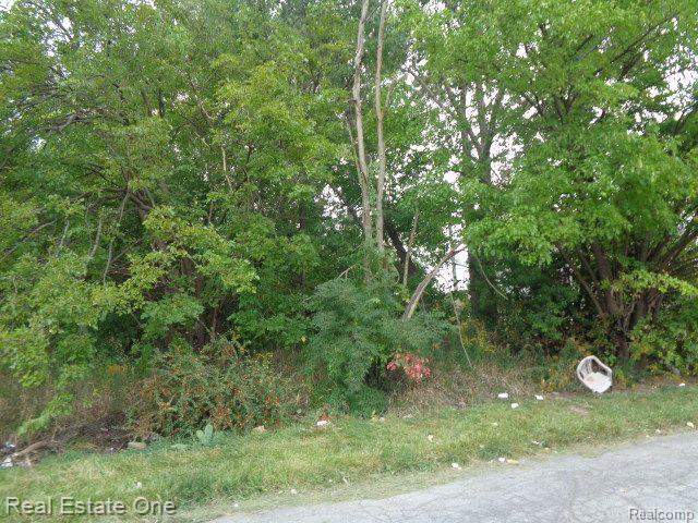 2628 Hunt Street Detroit City MI 48207