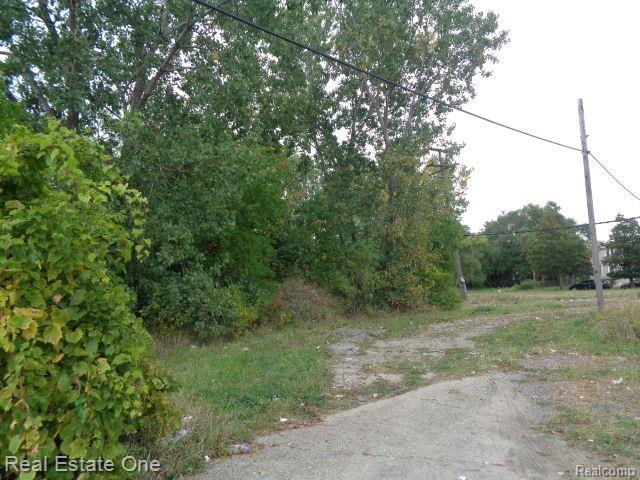 2628 Hunt Street Detroit City MI 48207