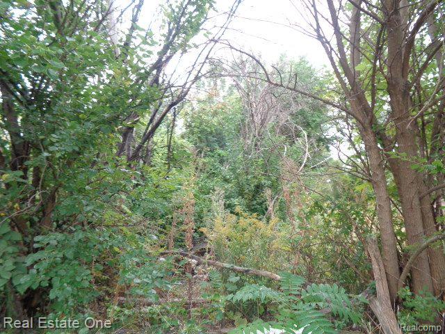 2628 Hunt Street Detroit City MI 48207