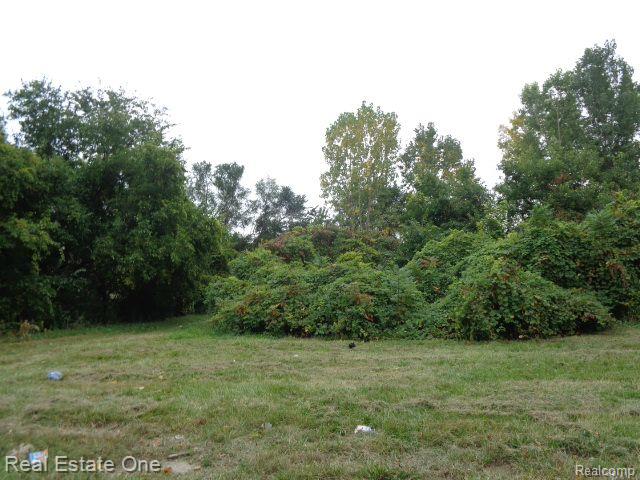 2628 Hunt Street Detroit City MI 48207