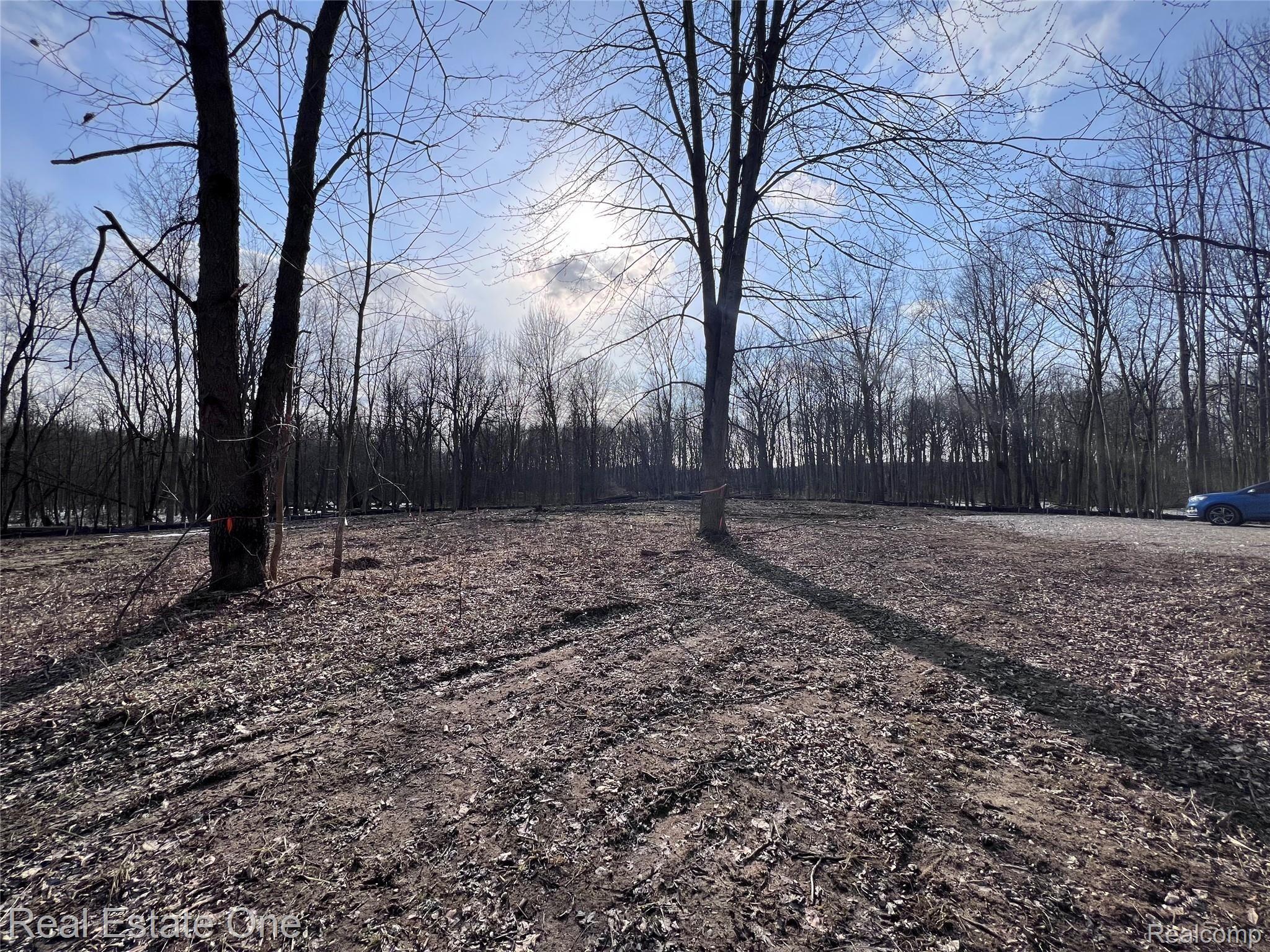 5700 Rolling Hills Drive Oakland Charter Township MI 48306
