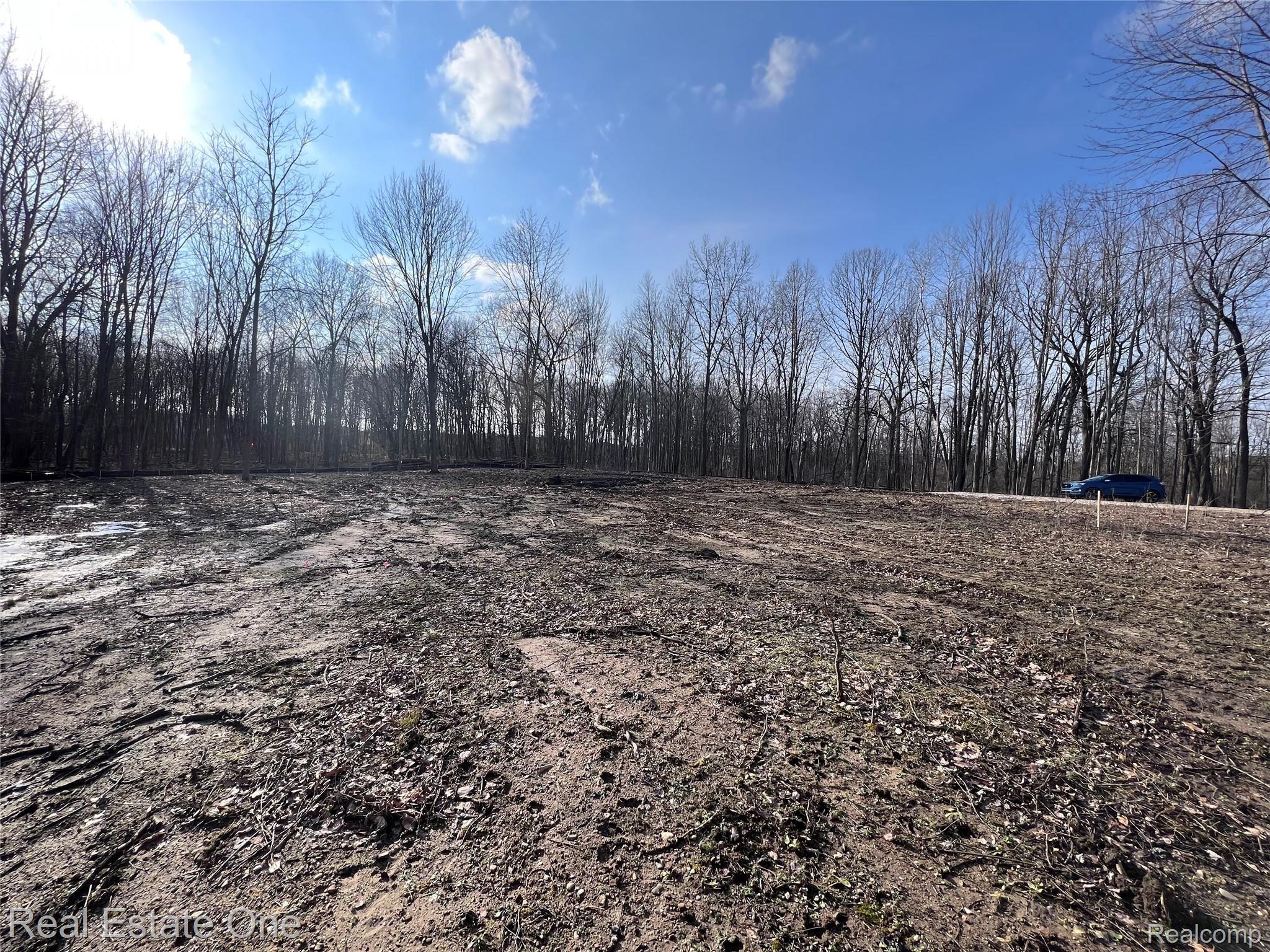 5700 Rolling Hills Drive Oakland Charter Township MI 48306