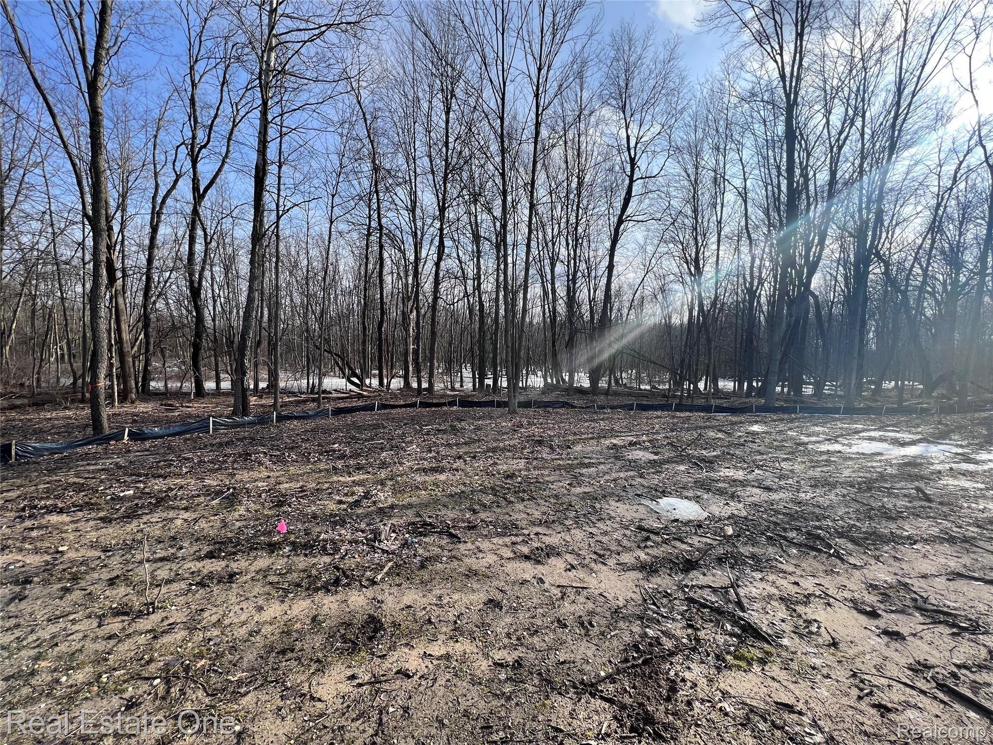 5700 Rolling Hills Drive Oakland Charter Township MI 48306