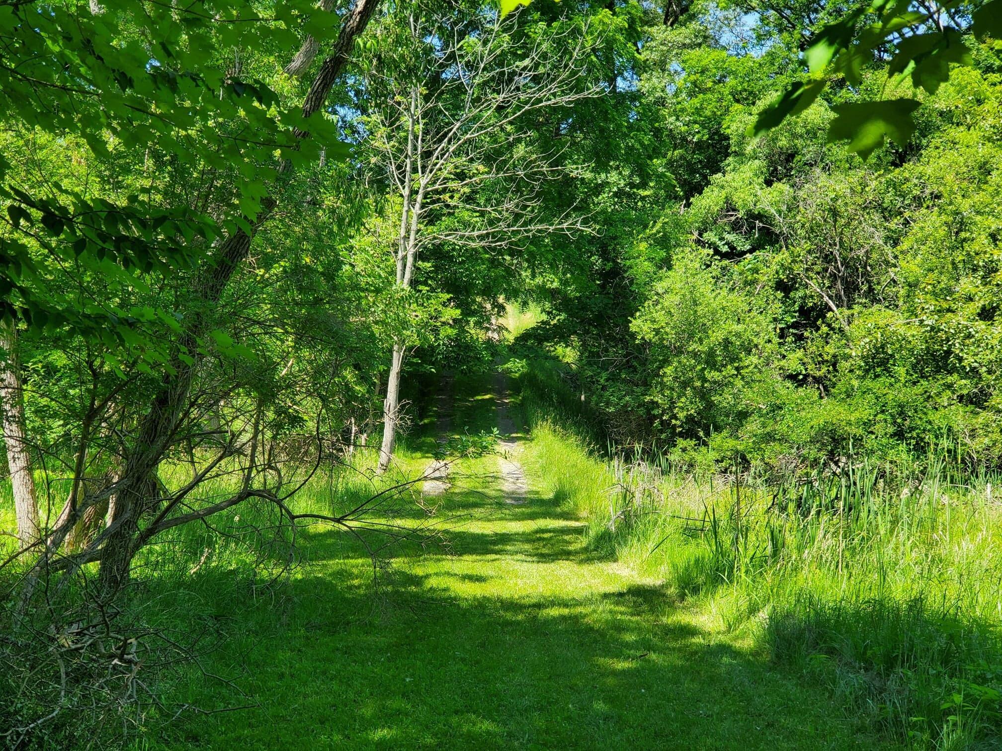 Lot 3 Old Channel Trail Montague City MI 49437