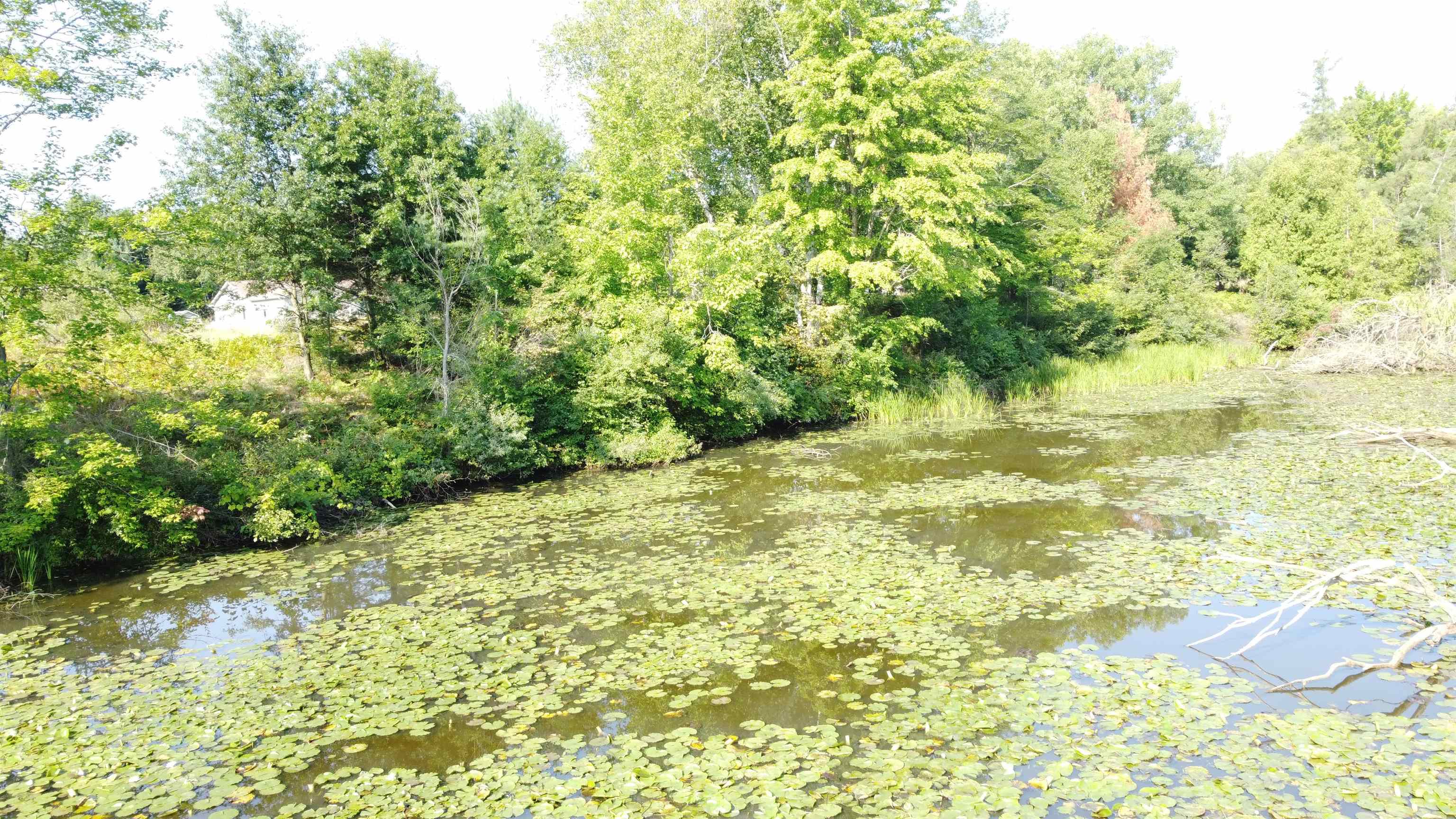 0 Arthur Court West Branch Township MI 48661