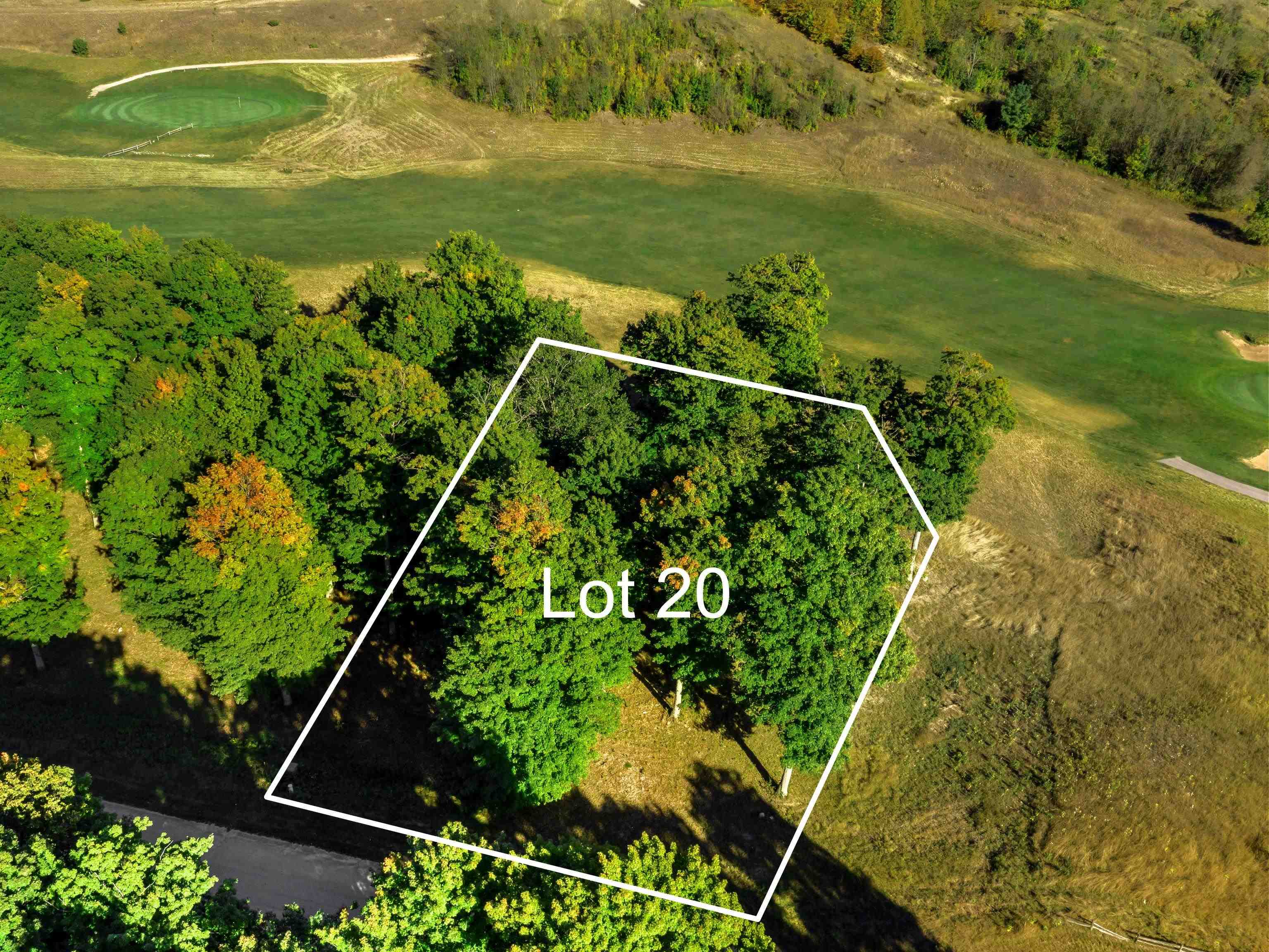0020 Heather Ridge Trail Homestead Township MI 49617