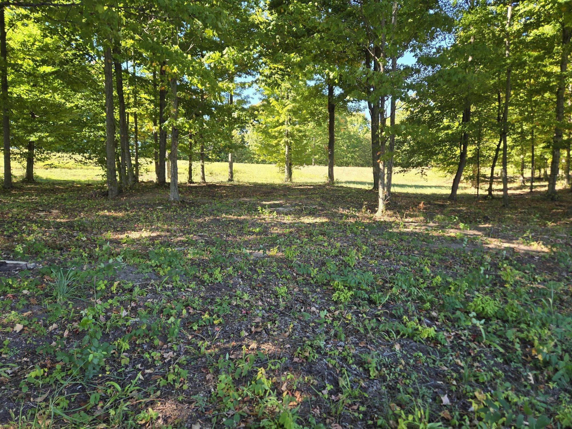 0020 Heather Ridge Trail Homestead Township MI 49617