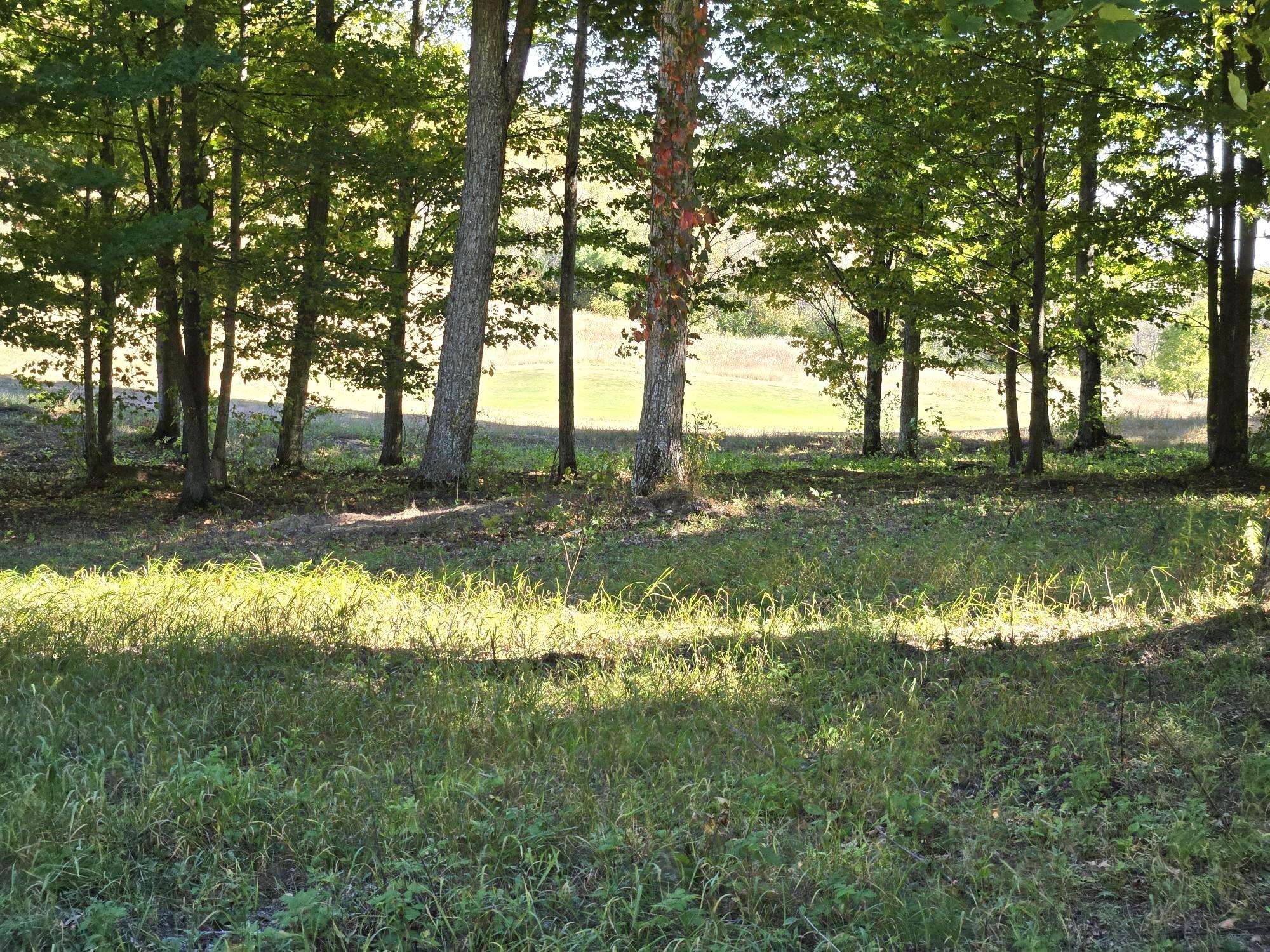 0020 Heather Ridge Trail Homestead Township MI 49617